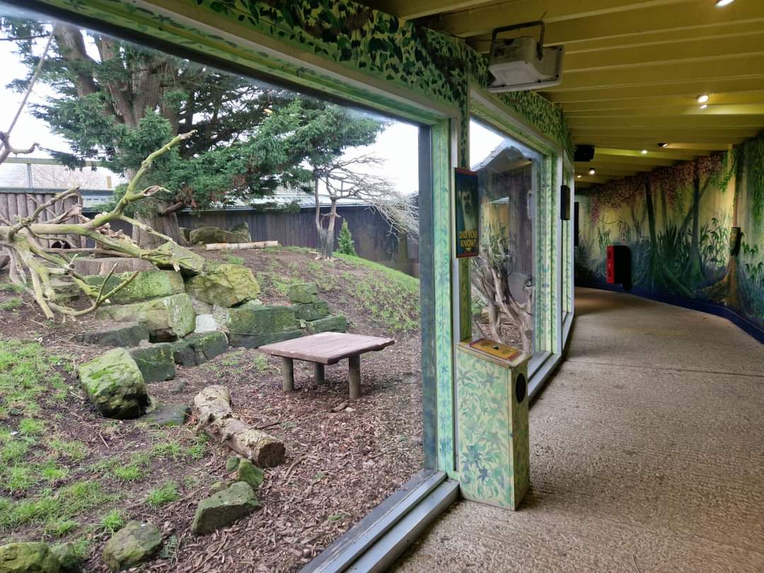 Squirrel monkey exhibit