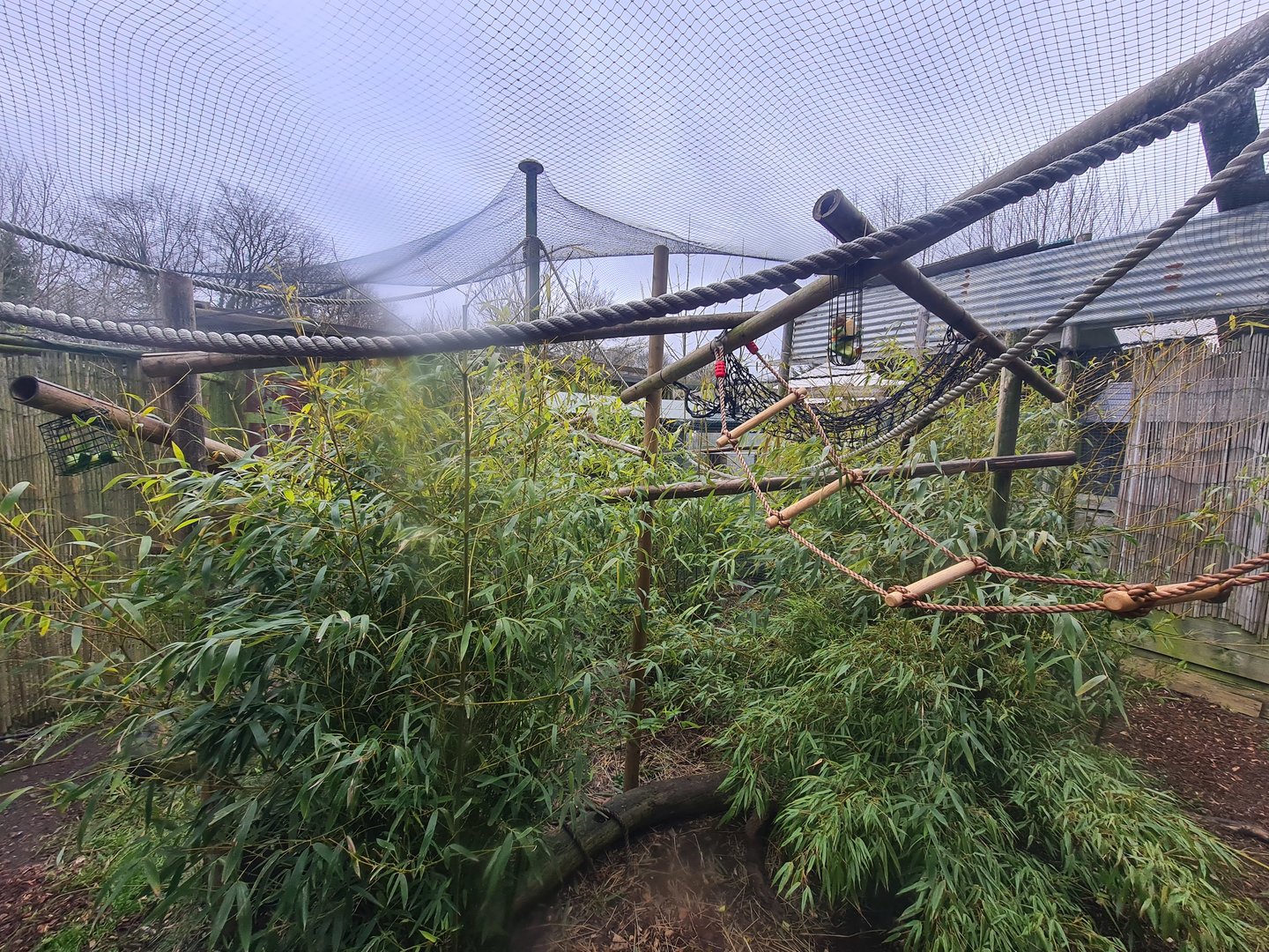 Squirrel Monkey Exhibit