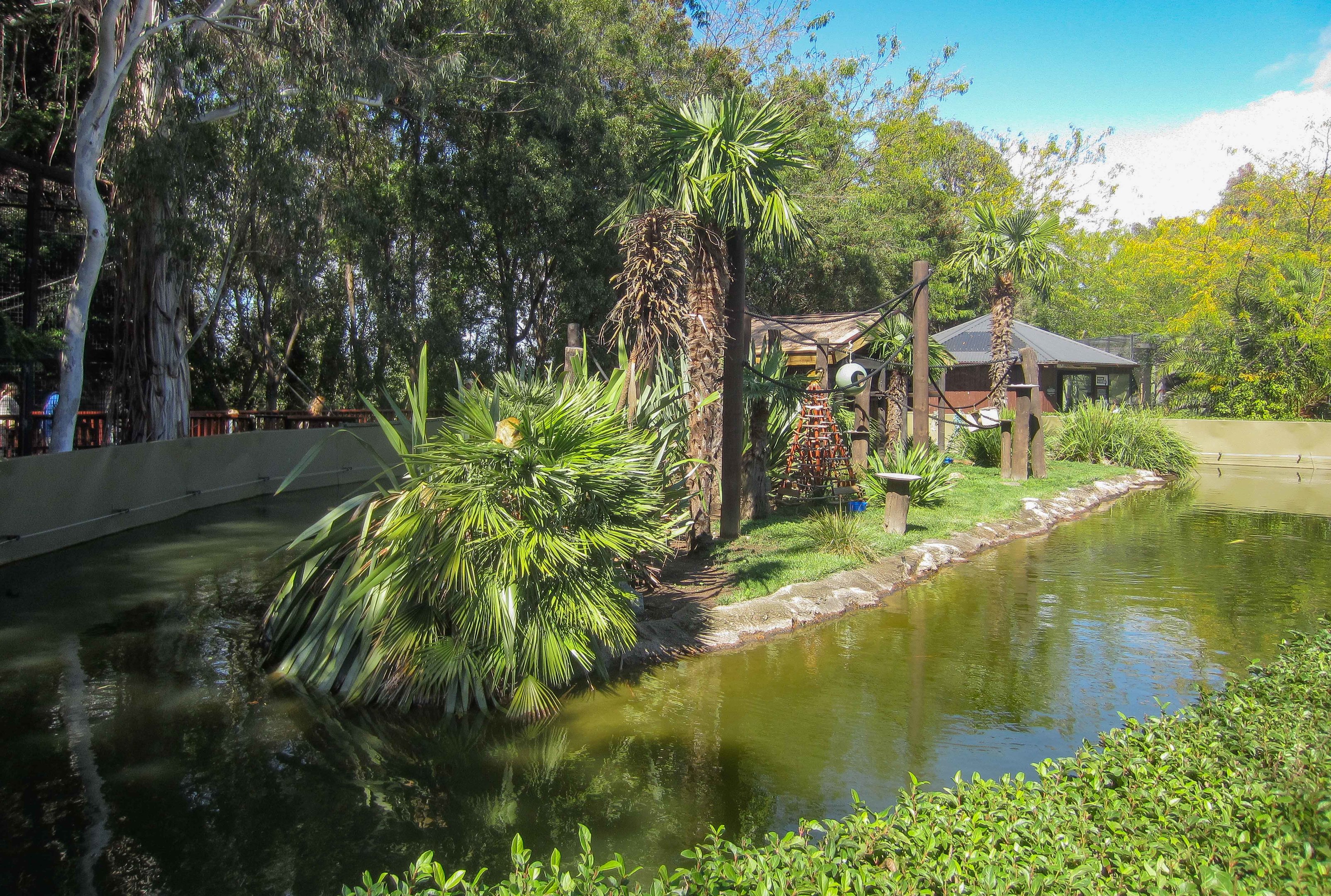 Squirrel Monkey exhibit