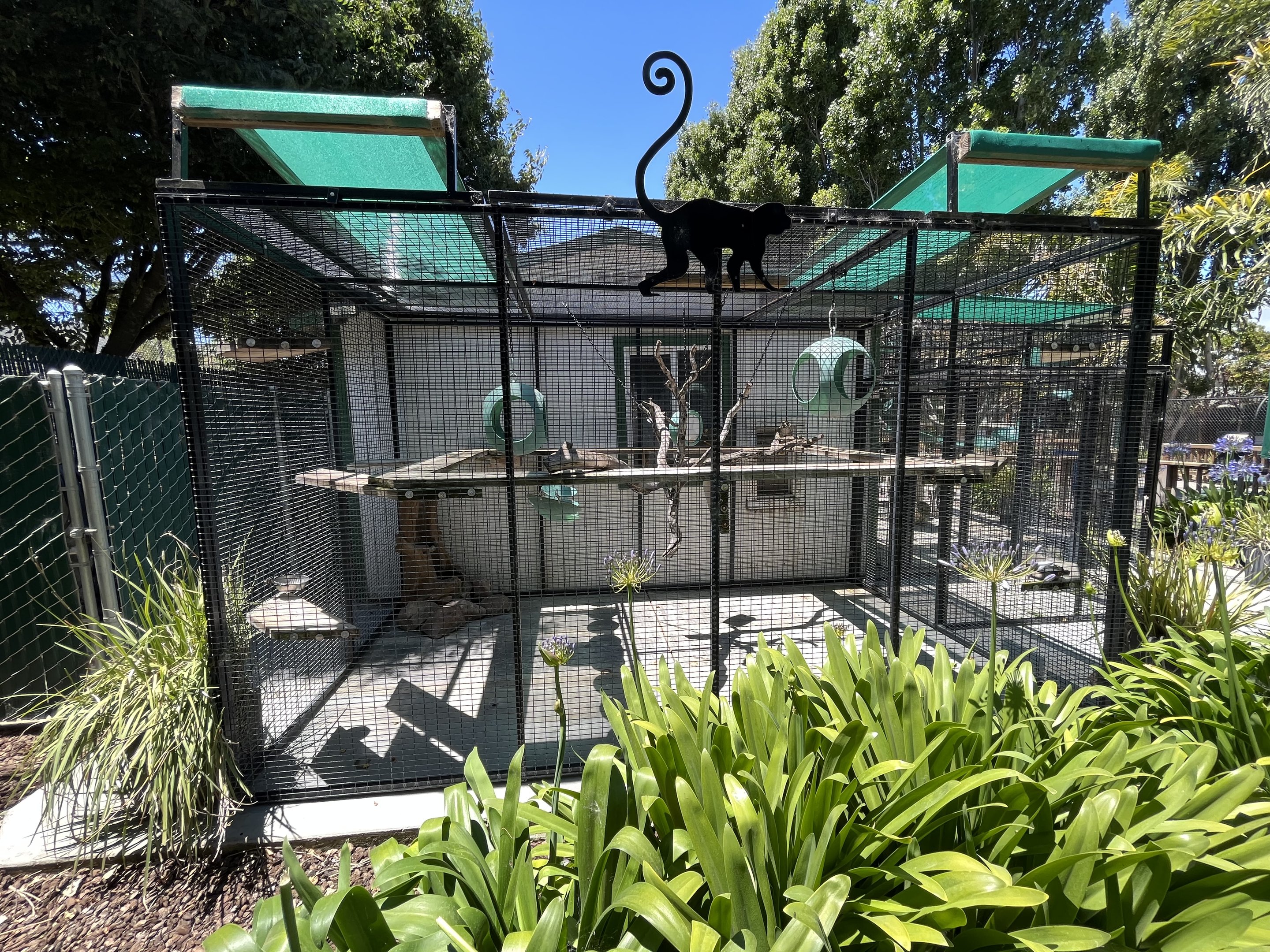 Squirrel Monkey Exhibit