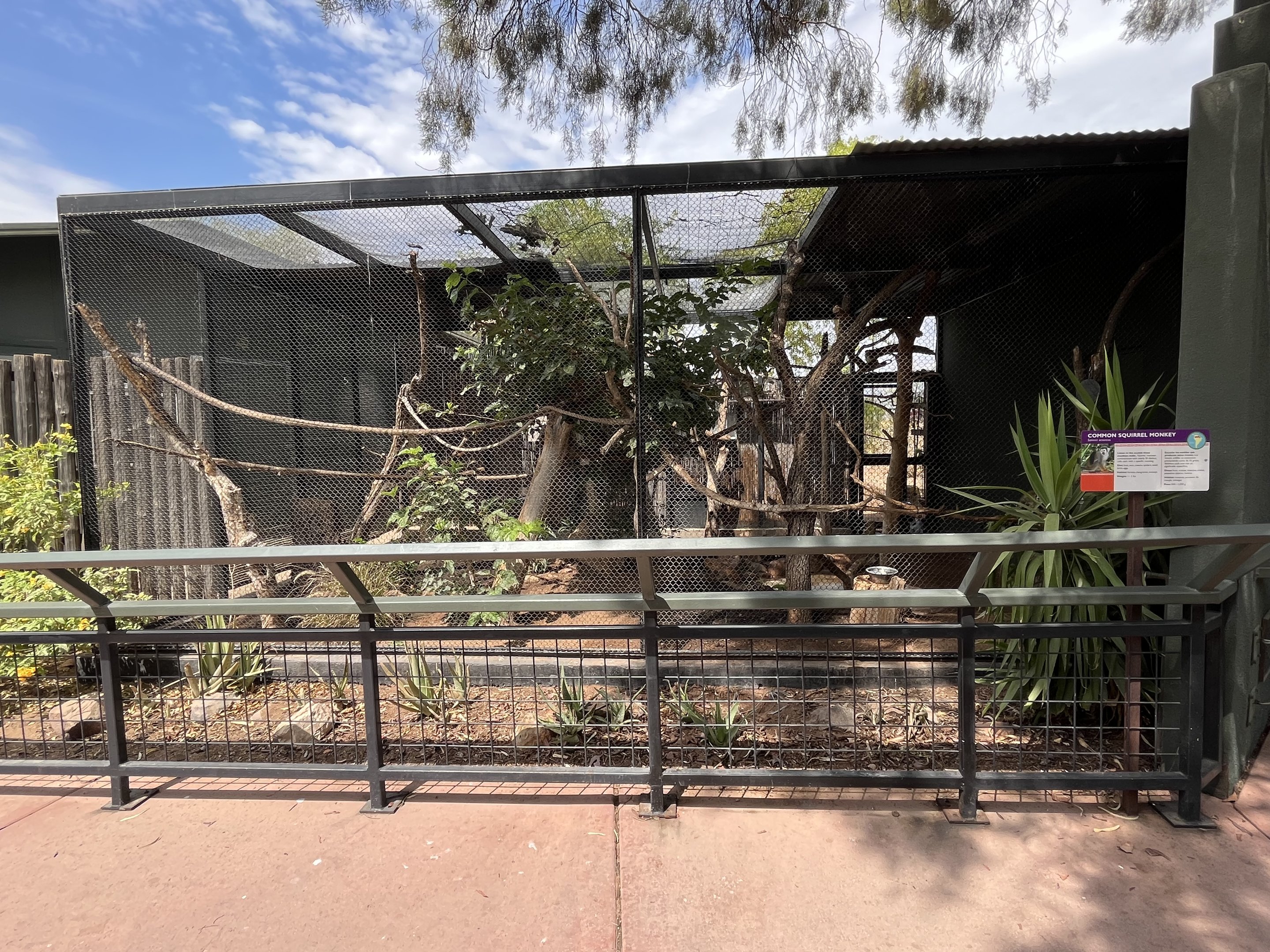 Squirrel Monkey Exhibit