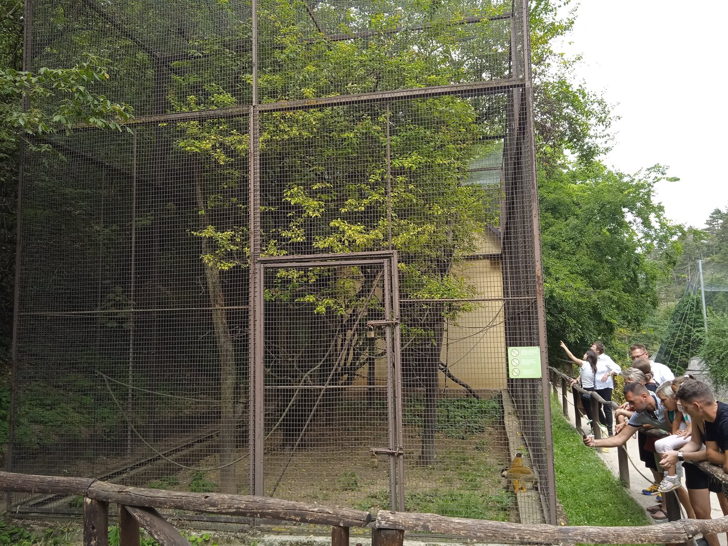Squirrel monkey exhibit