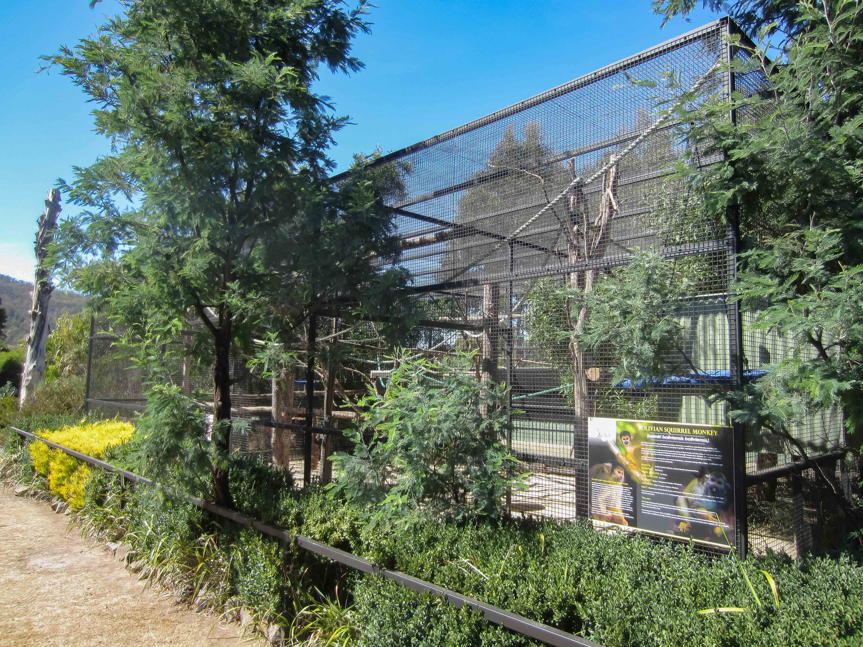 Squirrel Monkey exhibit