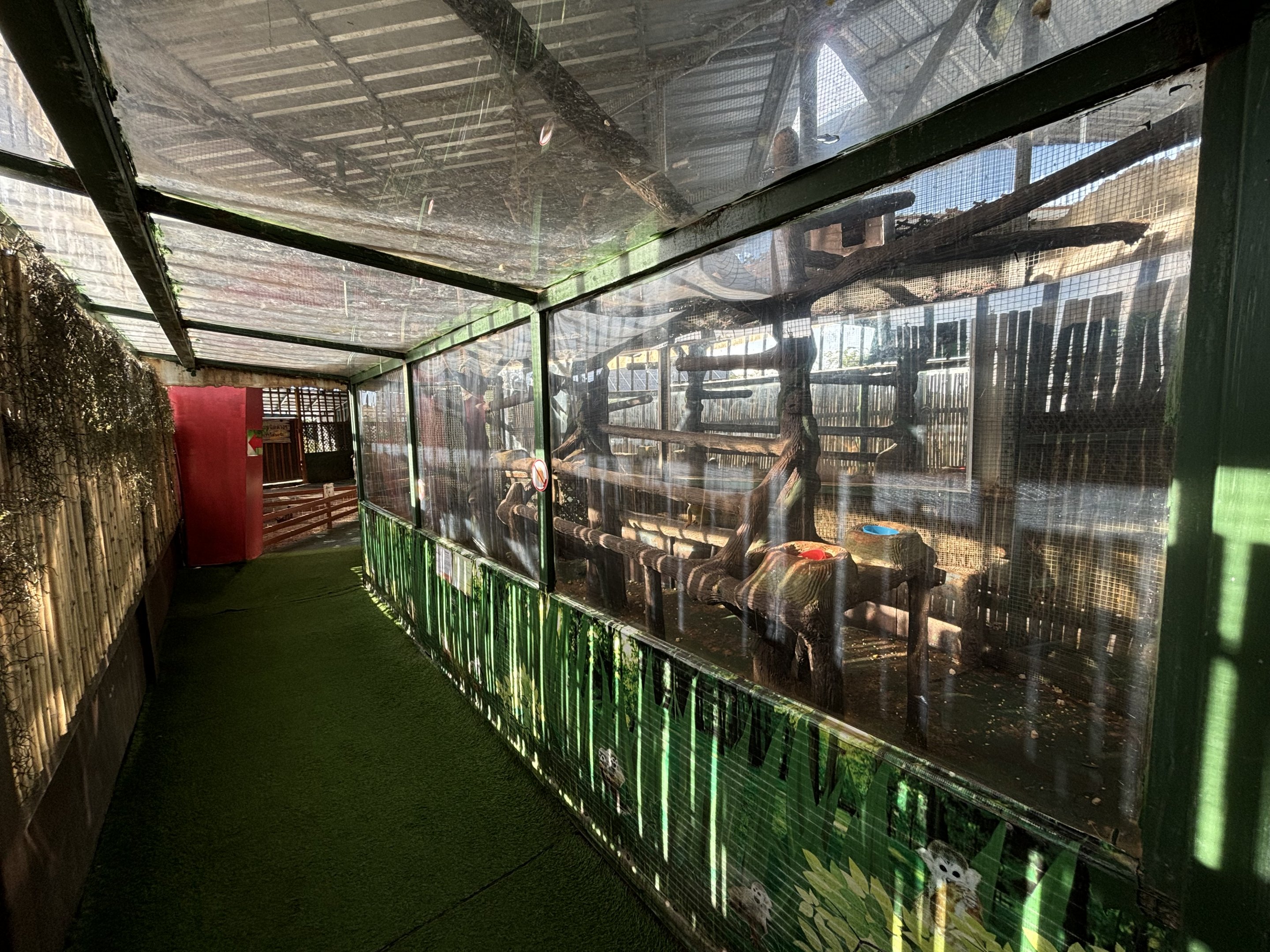 Squirrel Monkey Exhibit