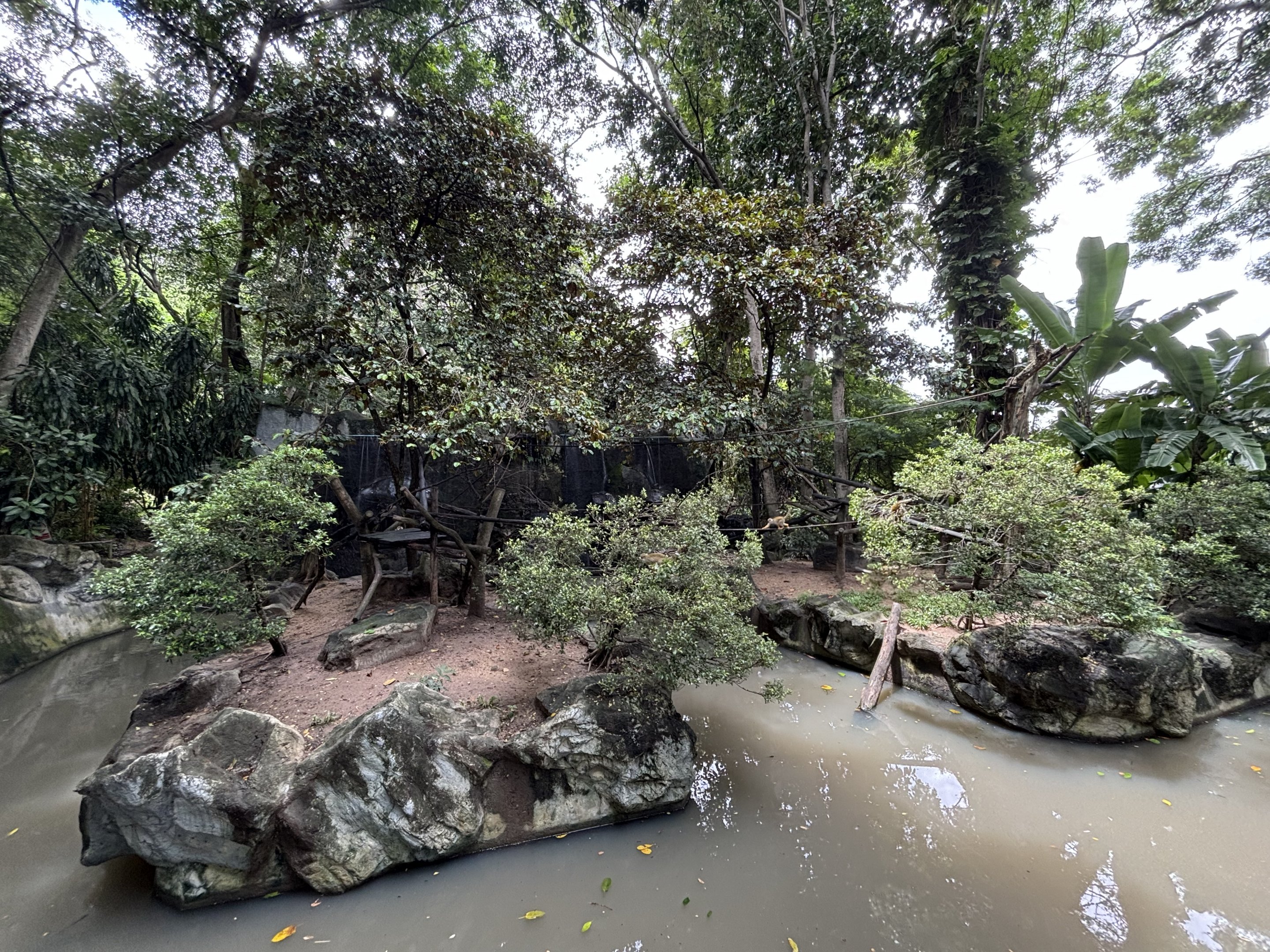 Squirrel Monkey Exhibit