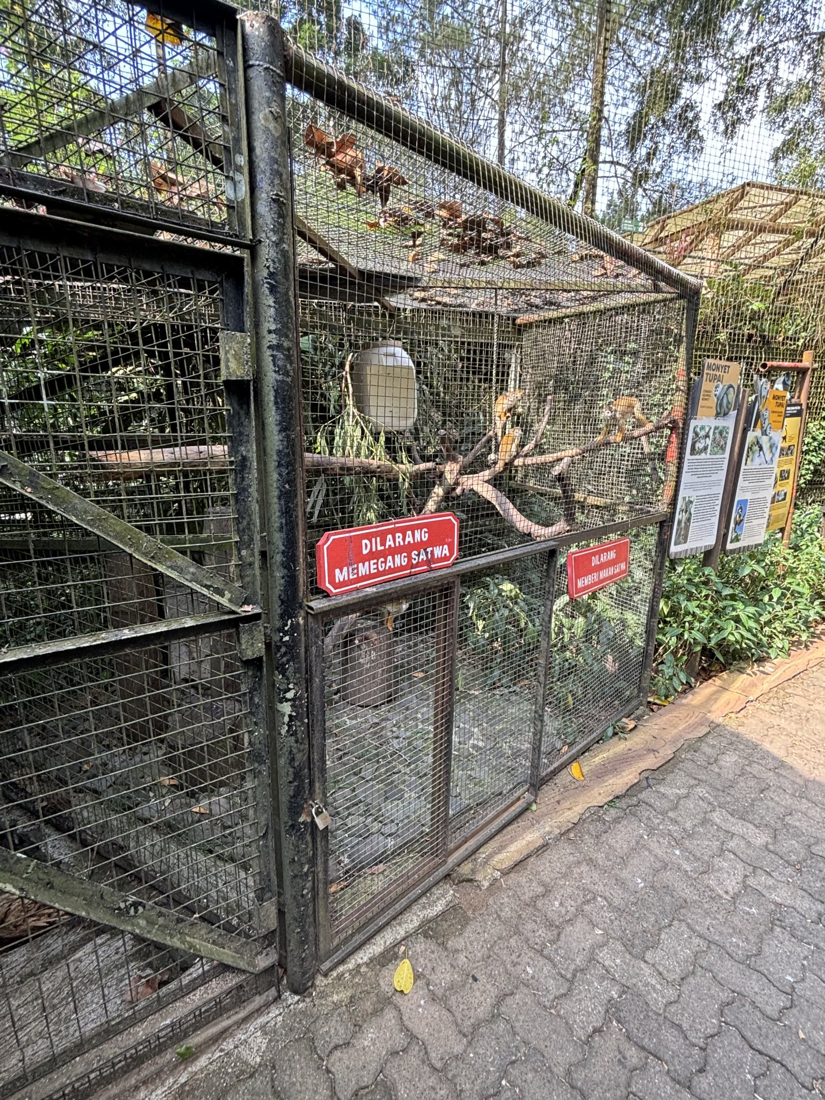 Squirrel Monkey Exhibit