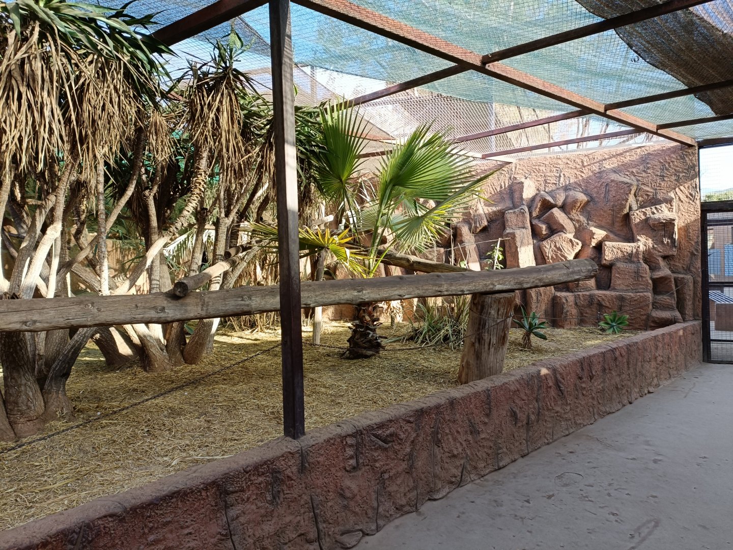 Squirrel monkey exhibit