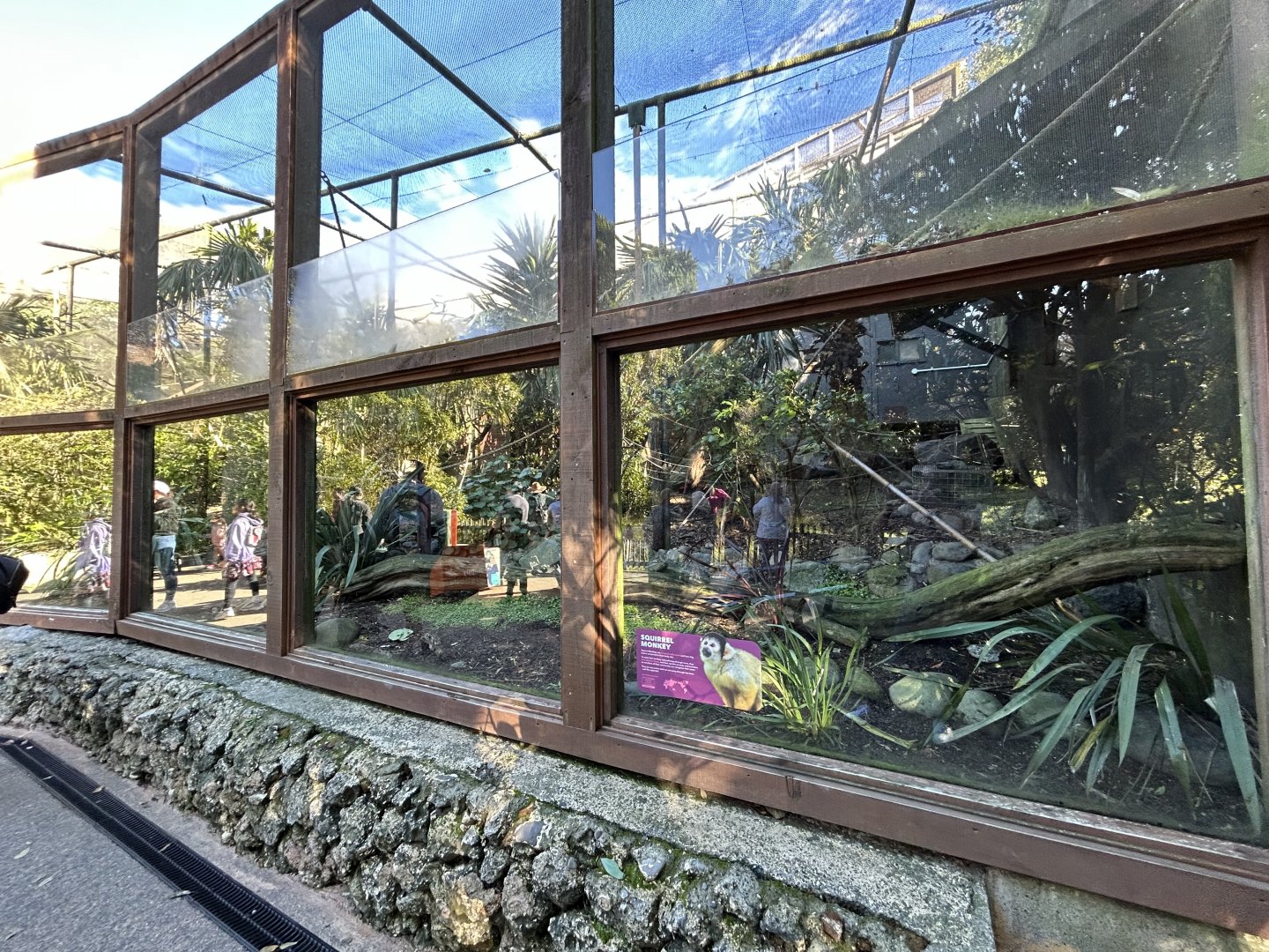 Squirrel Monkey Exhibit