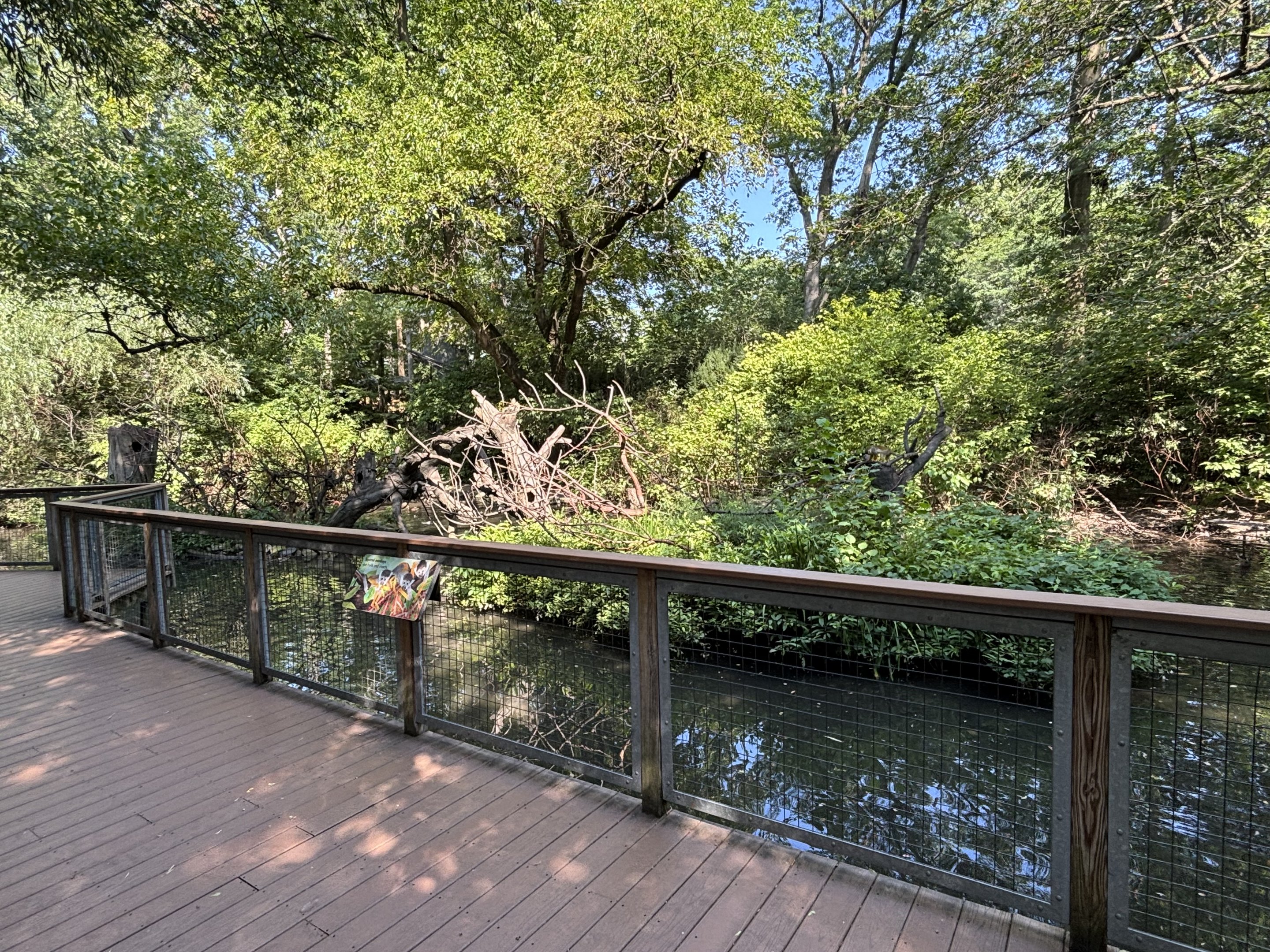Squirrel Monkey Exhibit