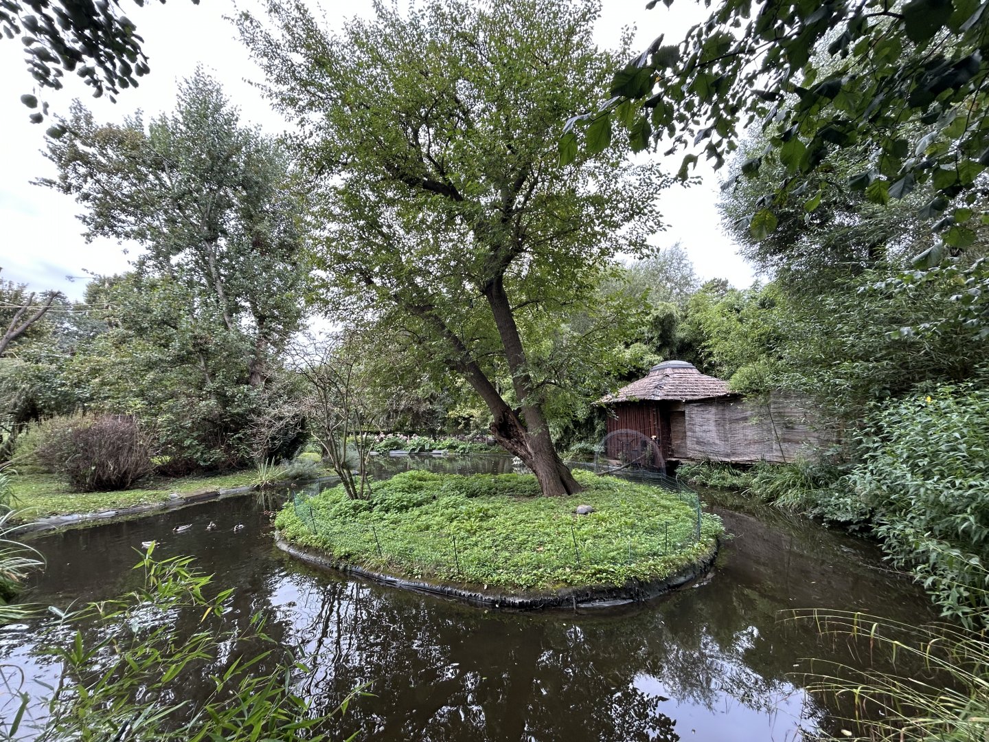 Squirrel Monkey Exhibit