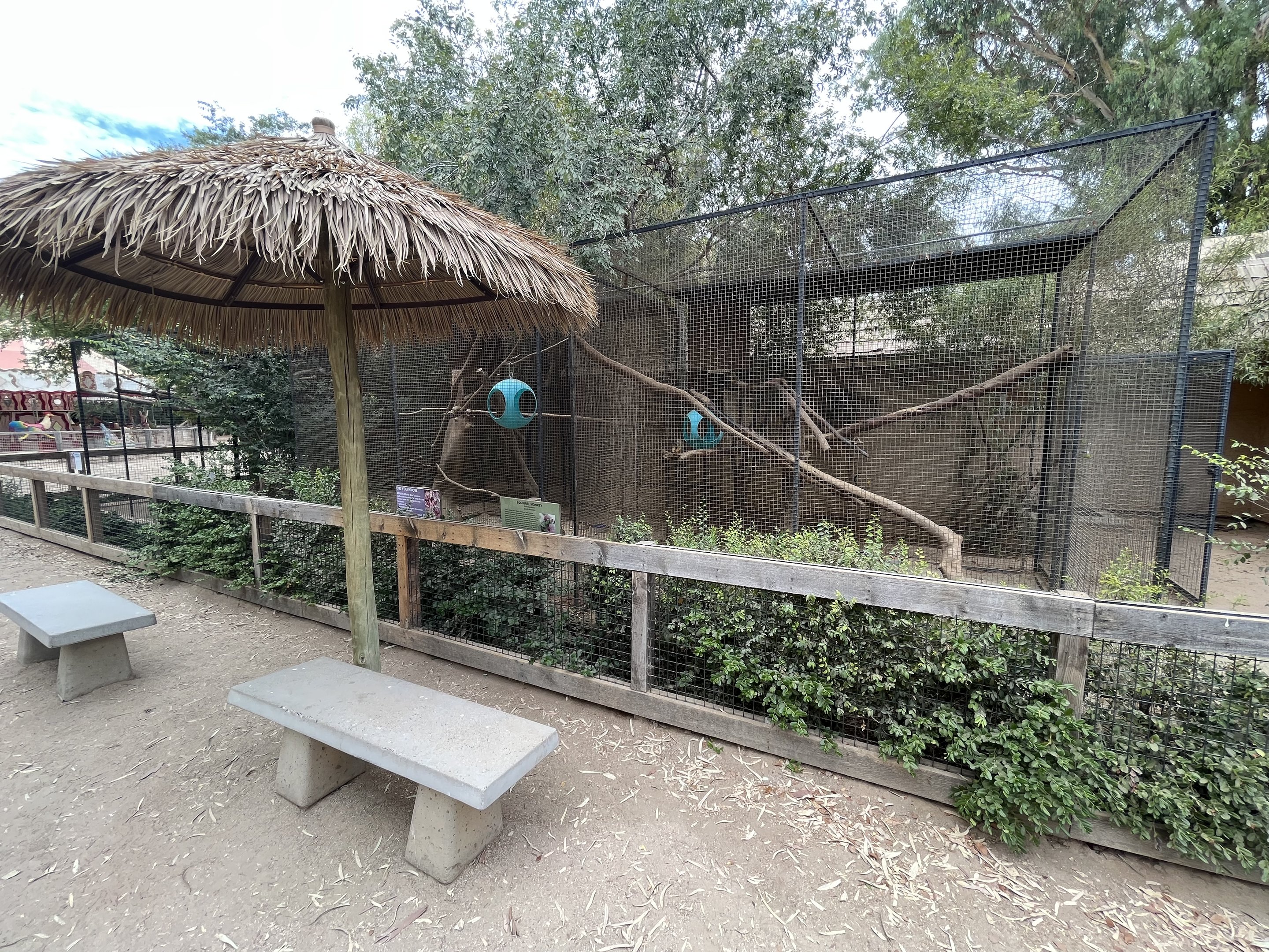 Squirrel Monkey Exhibits