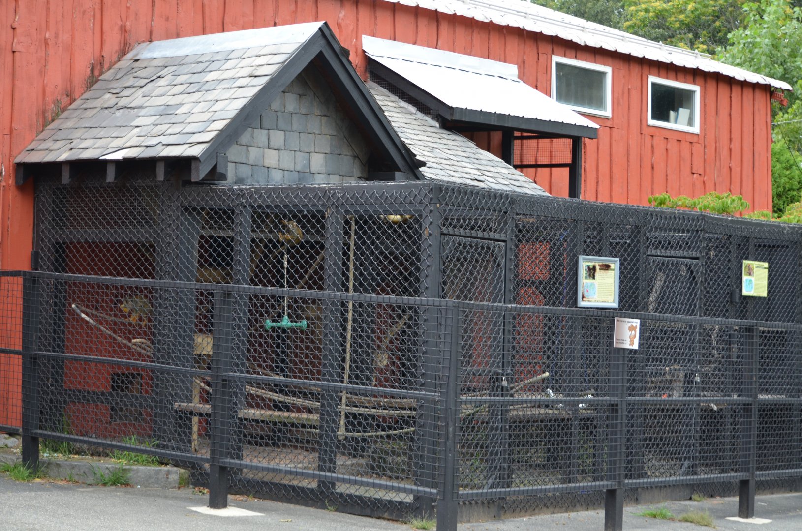 Squirrel Monkey Habitat