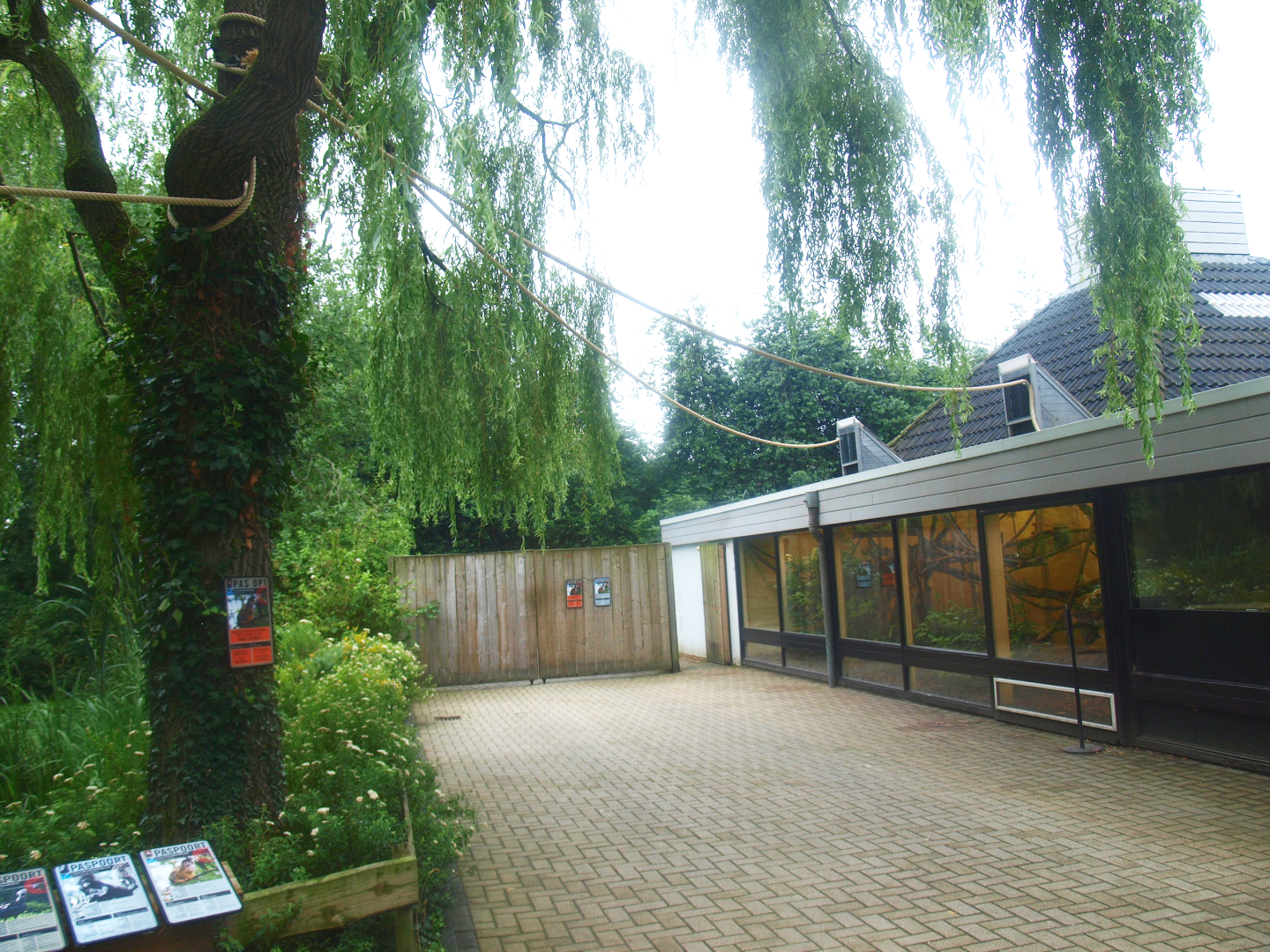 Squirrel monkey house and access ropes to  other areas, 2015-07-19