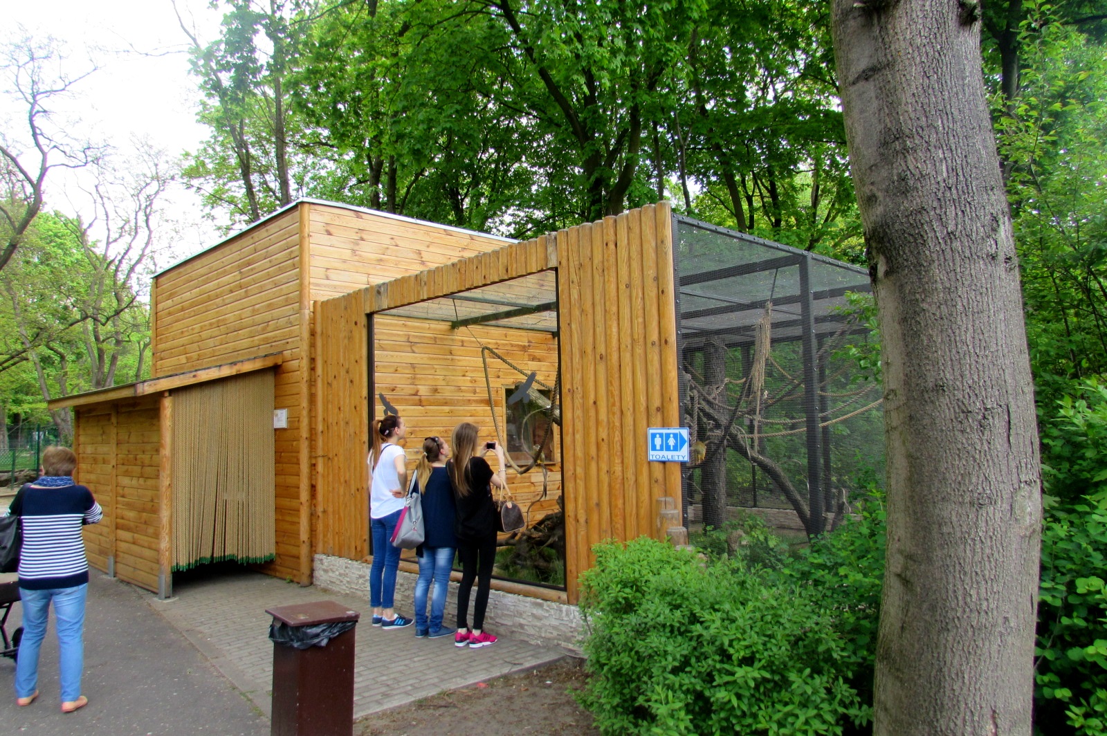 Squirrel Monkey house and enclosure  - 05/2015