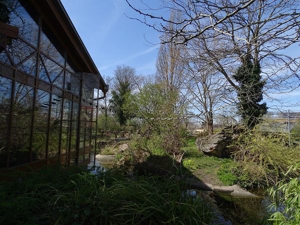 Squirrel monkey house, outdoor island (04/22)