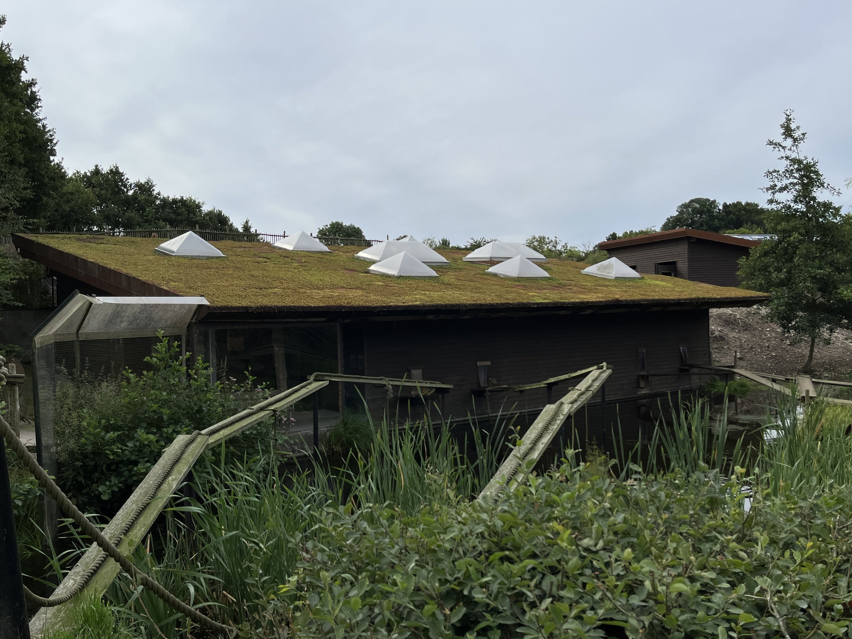 Squirrel Monkey House