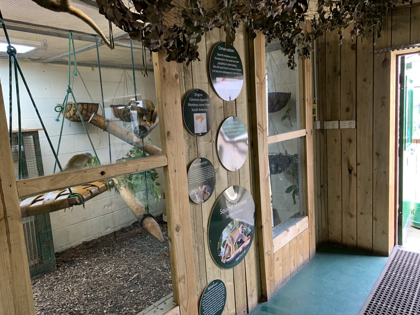 Squirrel Monkey Indoor Enclosure at Northumberland College Zoo (2020)