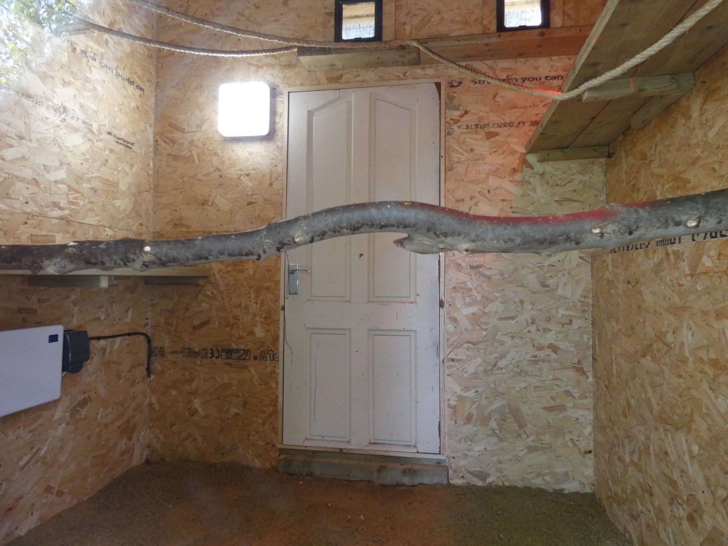 Squirrel monkey indoor enclosure