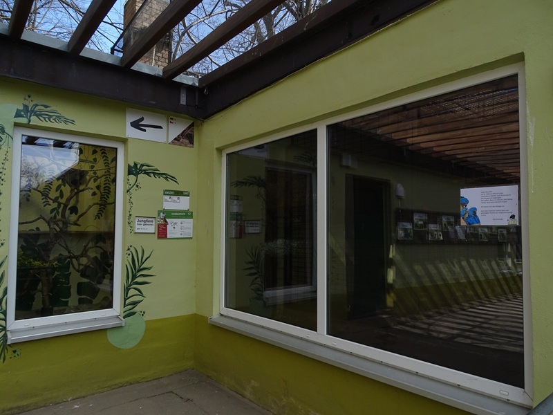 Squirrel monkey indoor enclosure