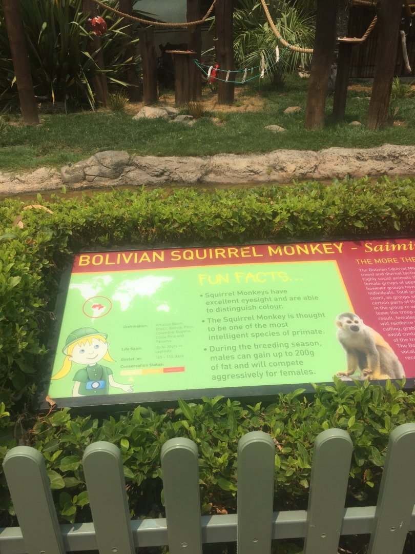 Squirrel Monkey Information Sign