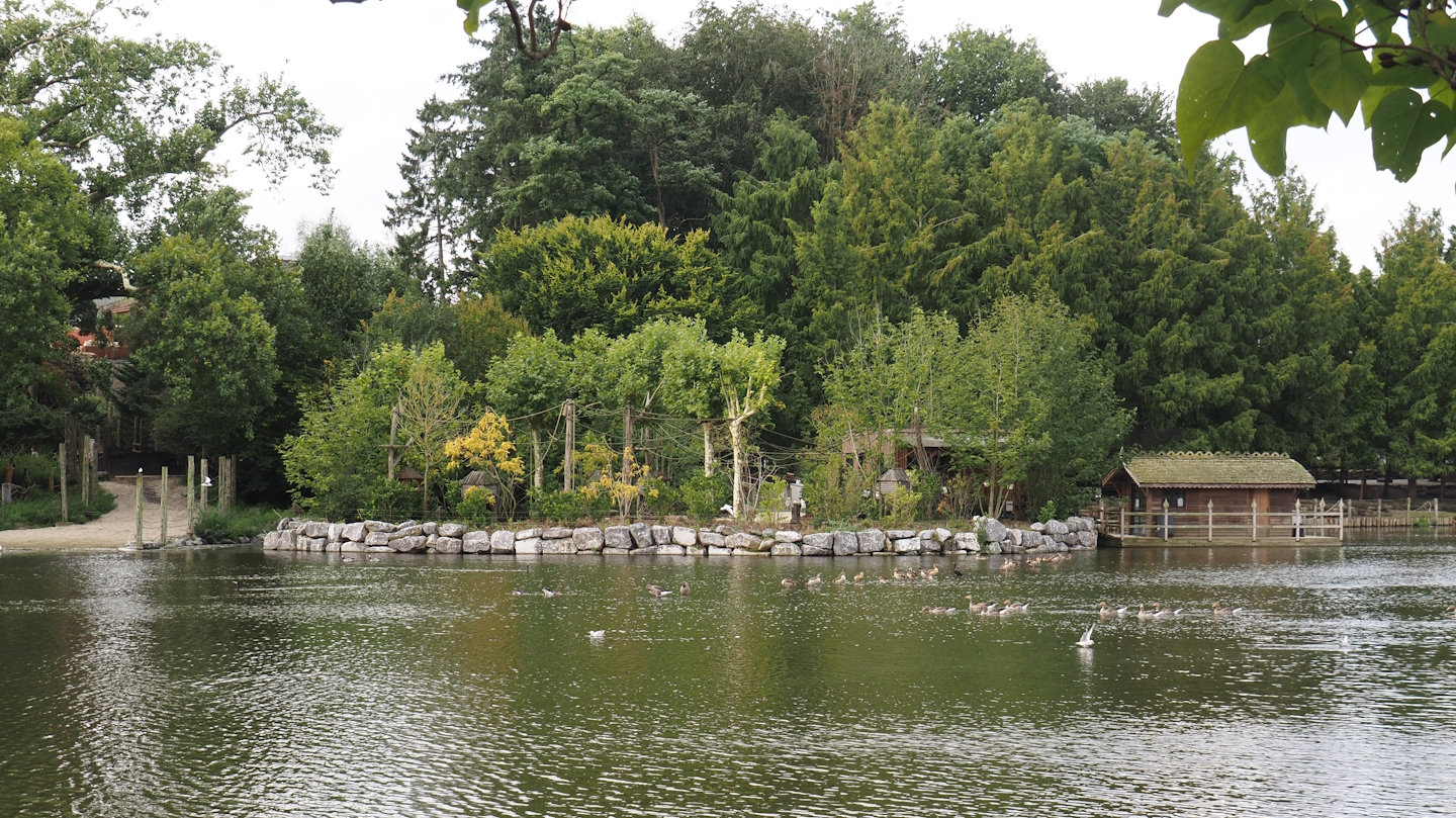 Squirrel monkey island and road for elephants to lake, 2024-09-17