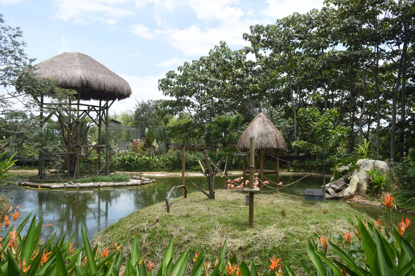 Squirrel monkey island, Flamingo lake and Macaws