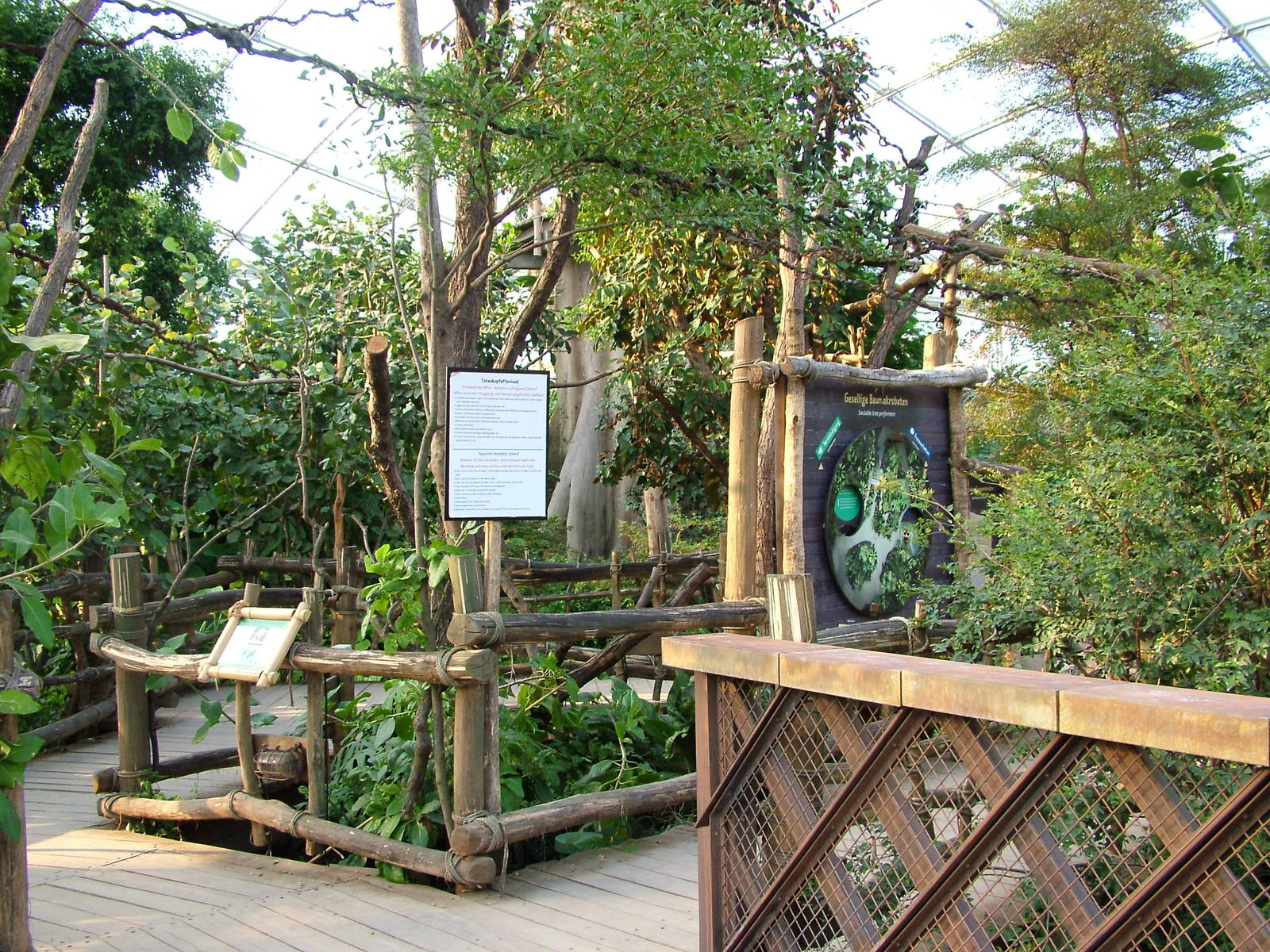 Squirrel Monkey Island - Gondwanaland, Leipzig, 03/09/11