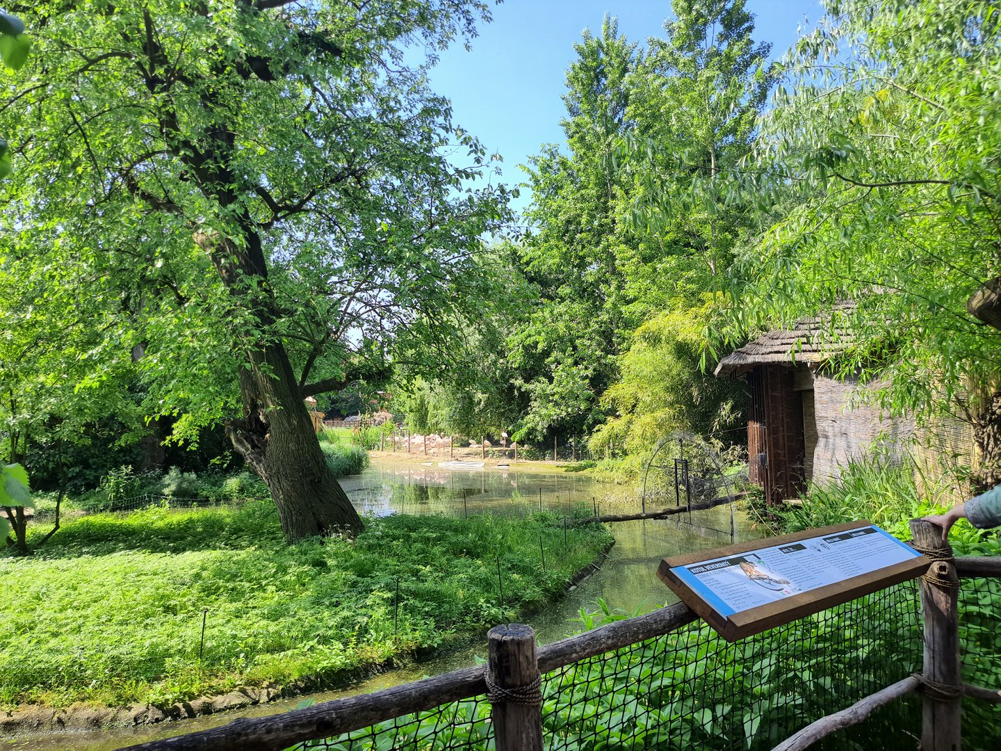 Squirrel monkey island- Prague Zoo Praha