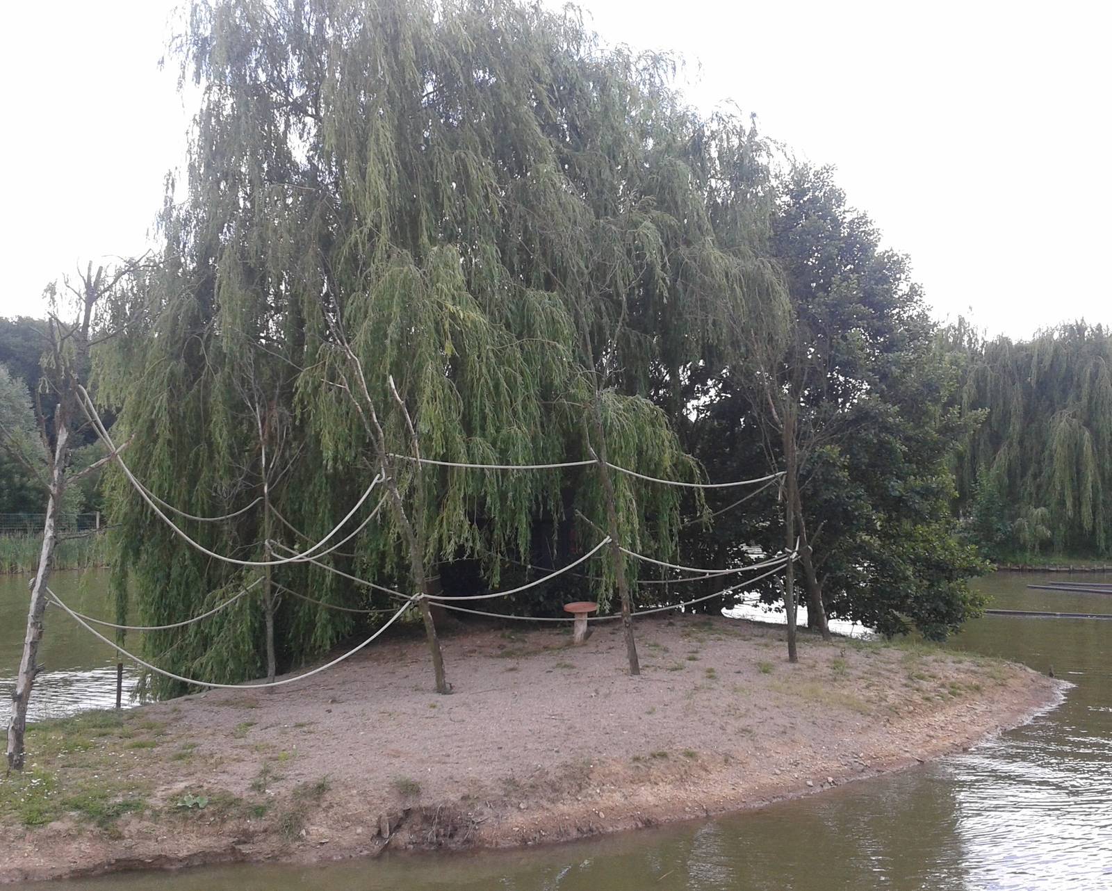 Squirrel monkey island