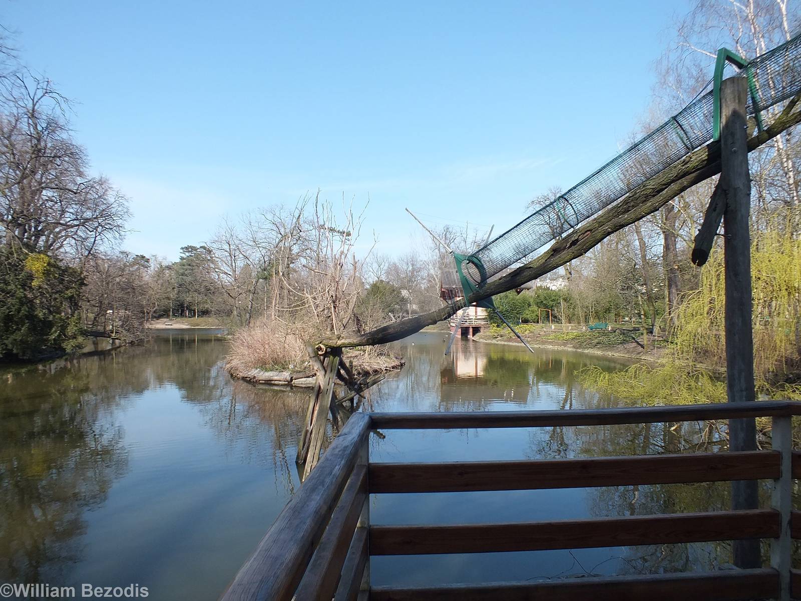 Squirrel Monkey Island
