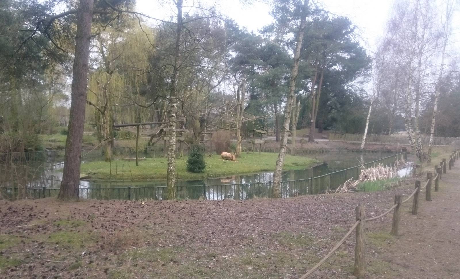 Squirrel monkey island