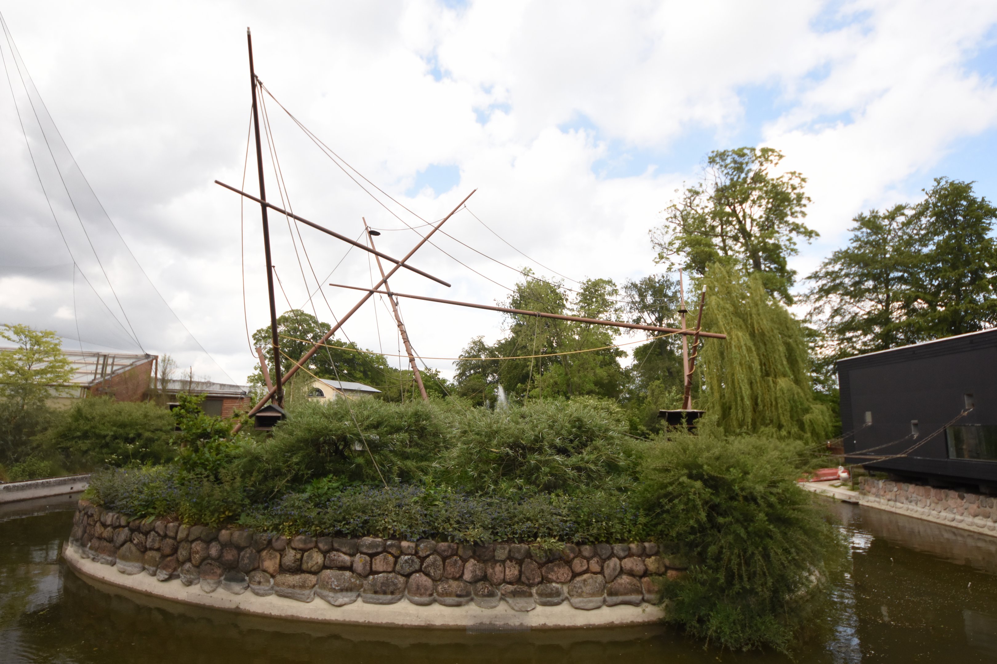 Squirrel monkey island