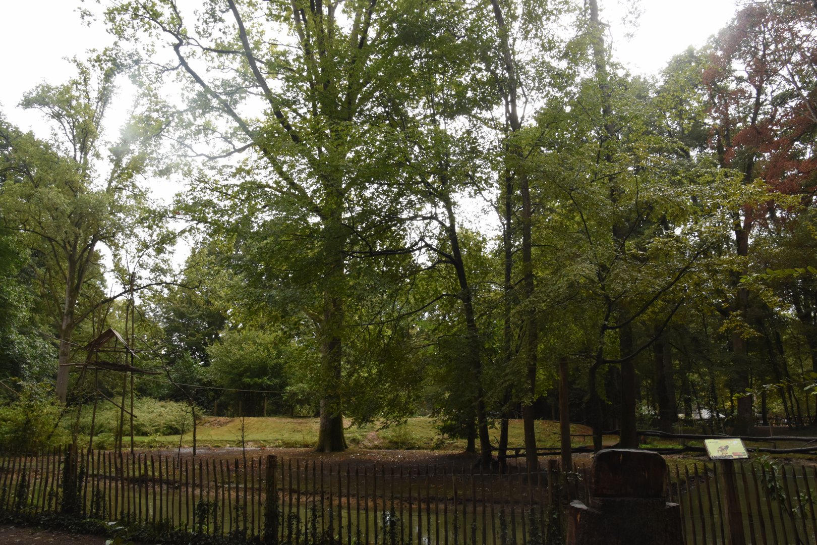 Squirrel Monkey island