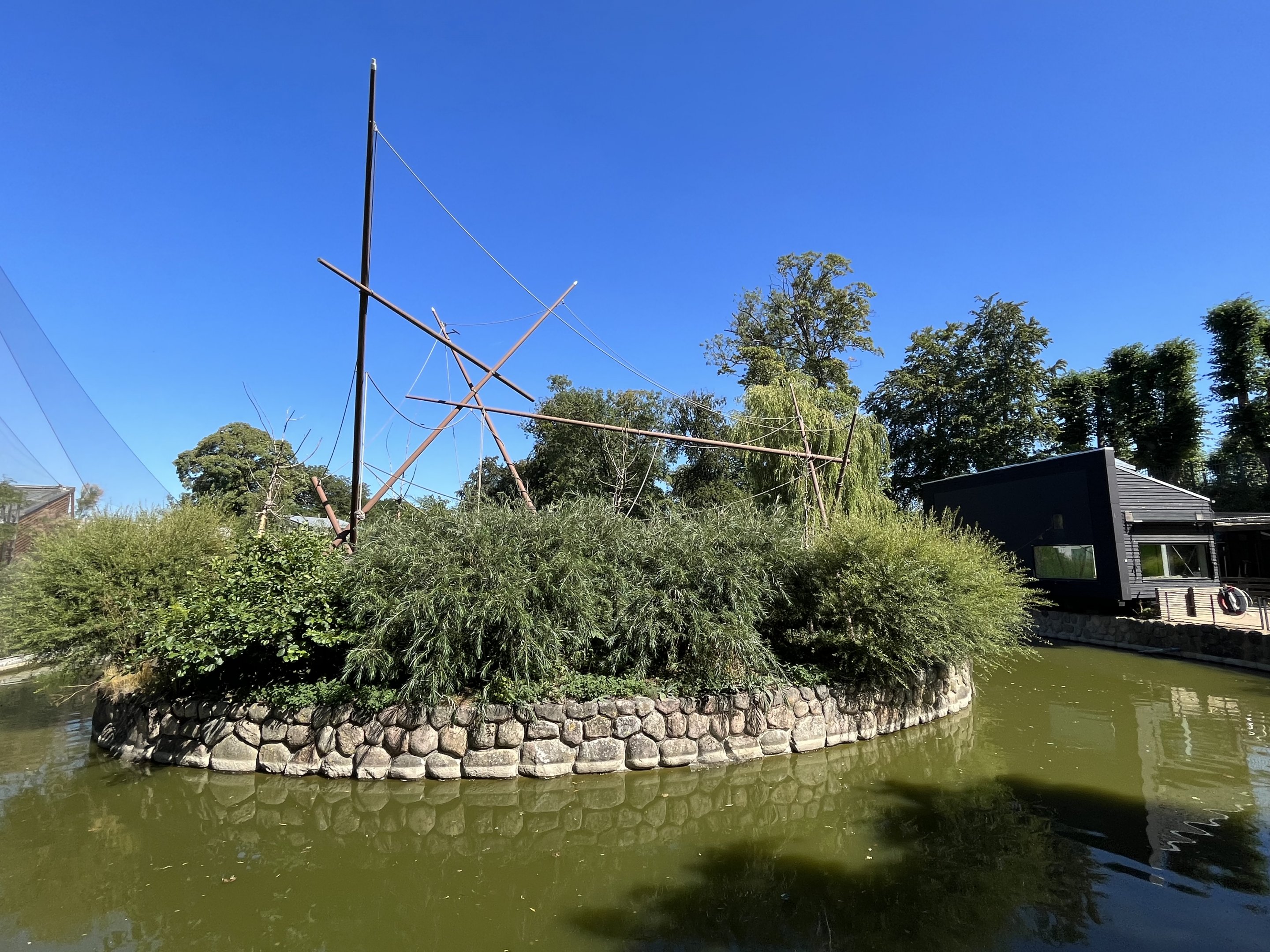 Squirrel Monkey Island