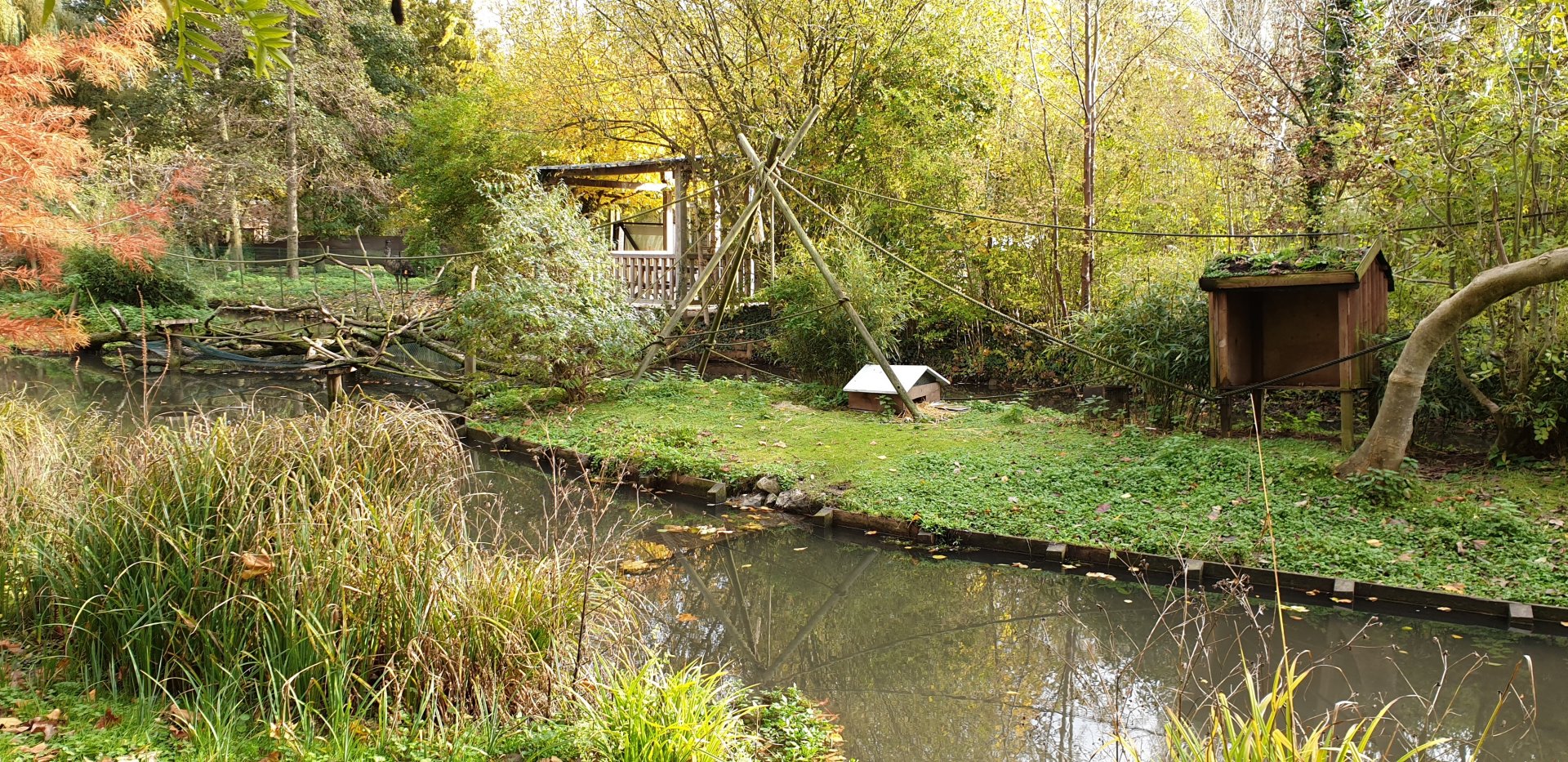 Squirrel monkey islands