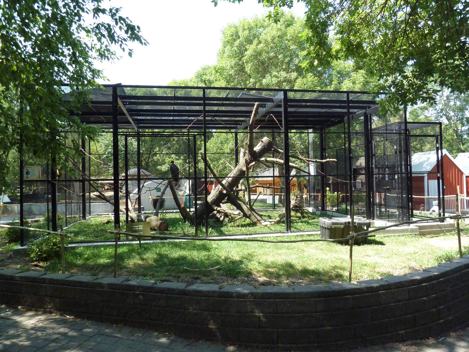 Squirrel Monkey/King Vulture Exhibit