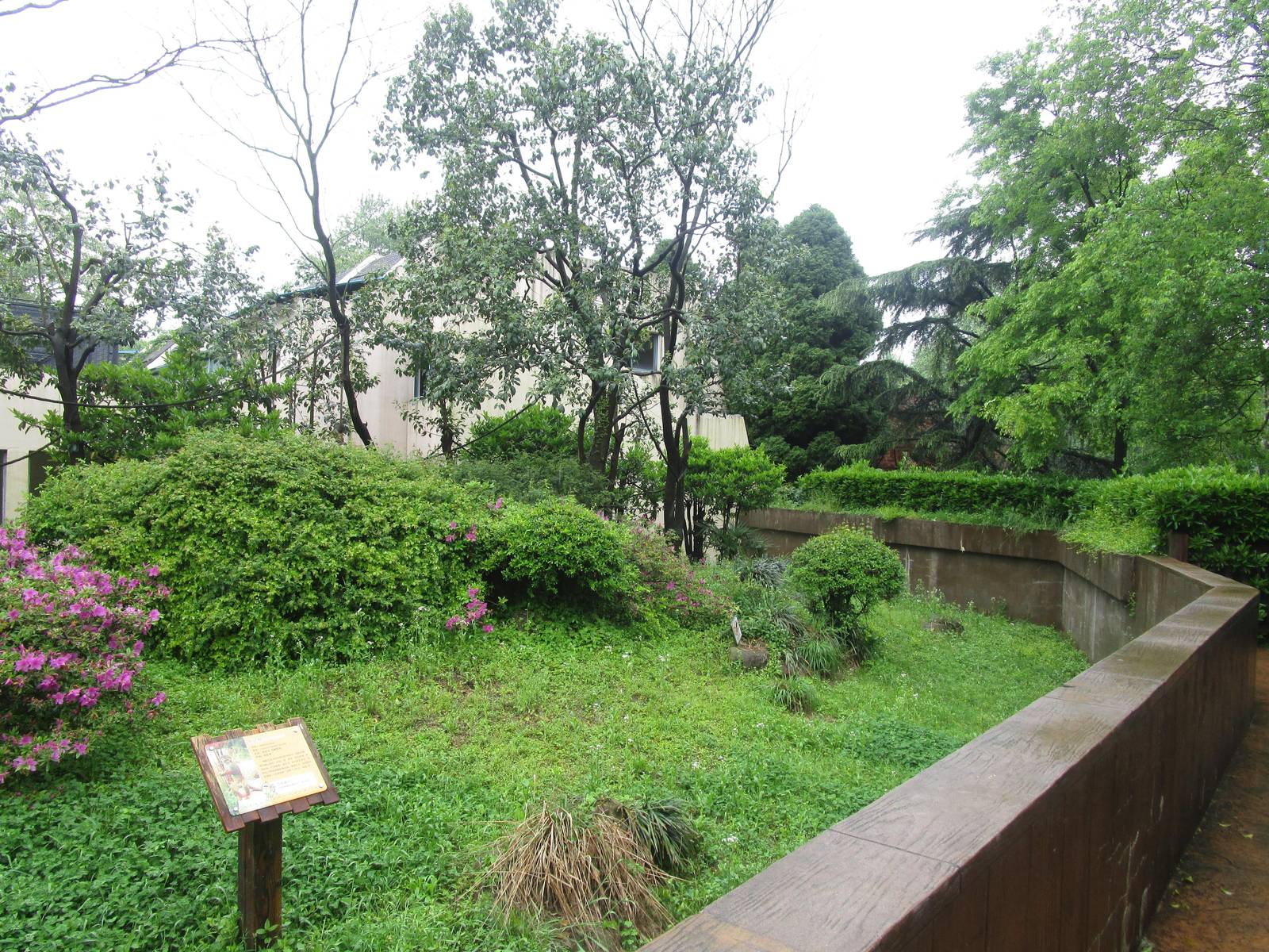 Squirrel Monkey Outdoor Enclosure - 16/04/2016