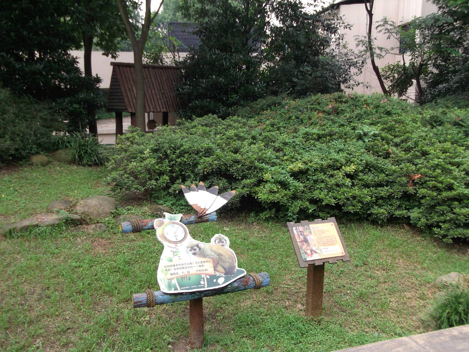 Squirrel Monkey outdoor enclosure