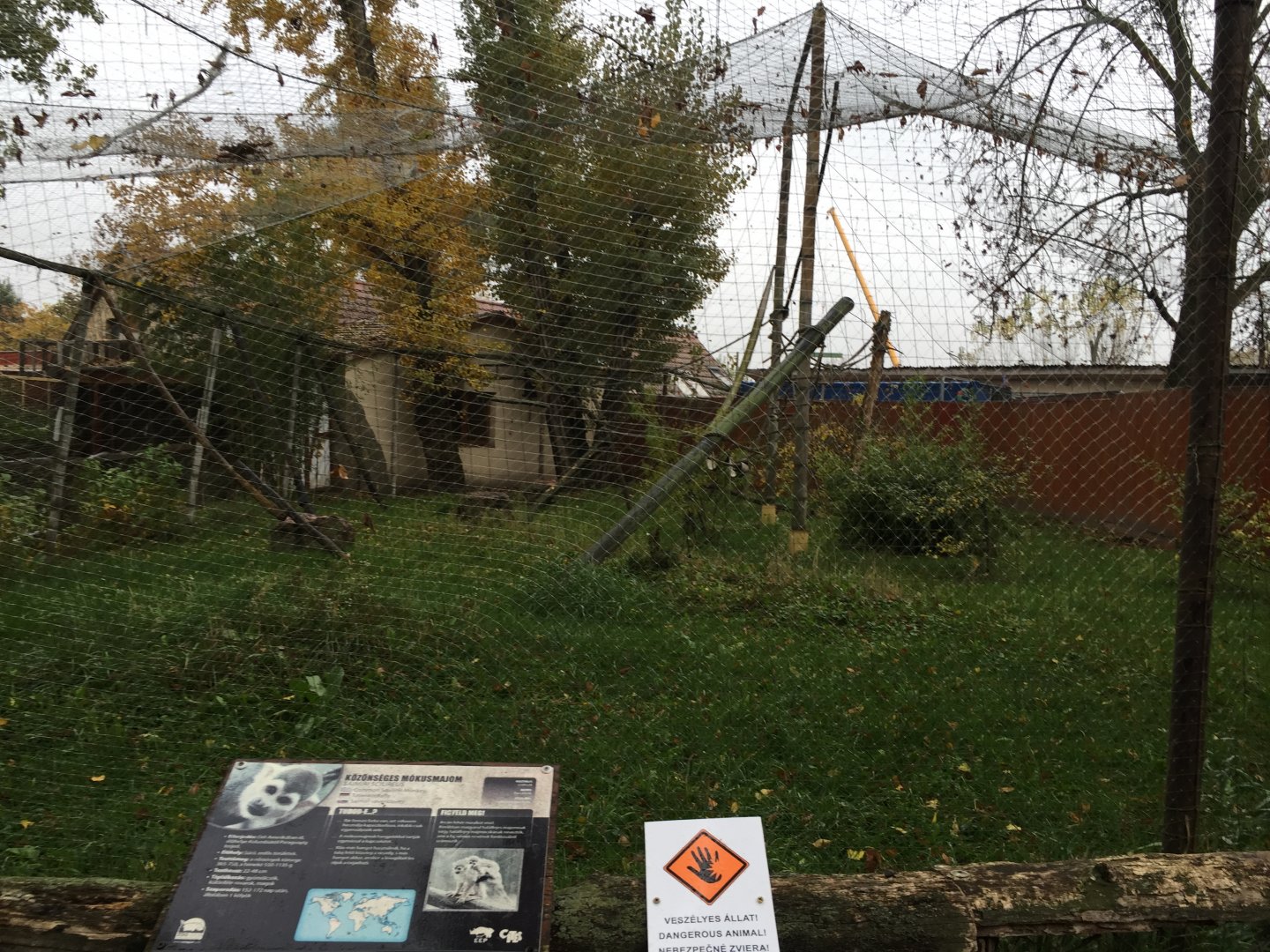 Squirrel monkey outdoor exhibit october 2020