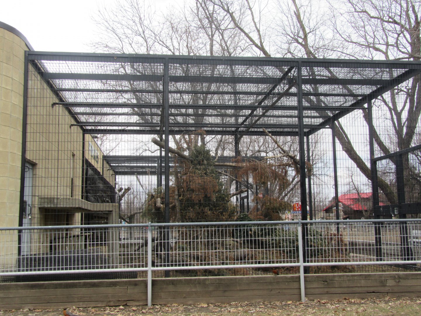 Squirrel Monkey Outdoor Exhibit Renovation