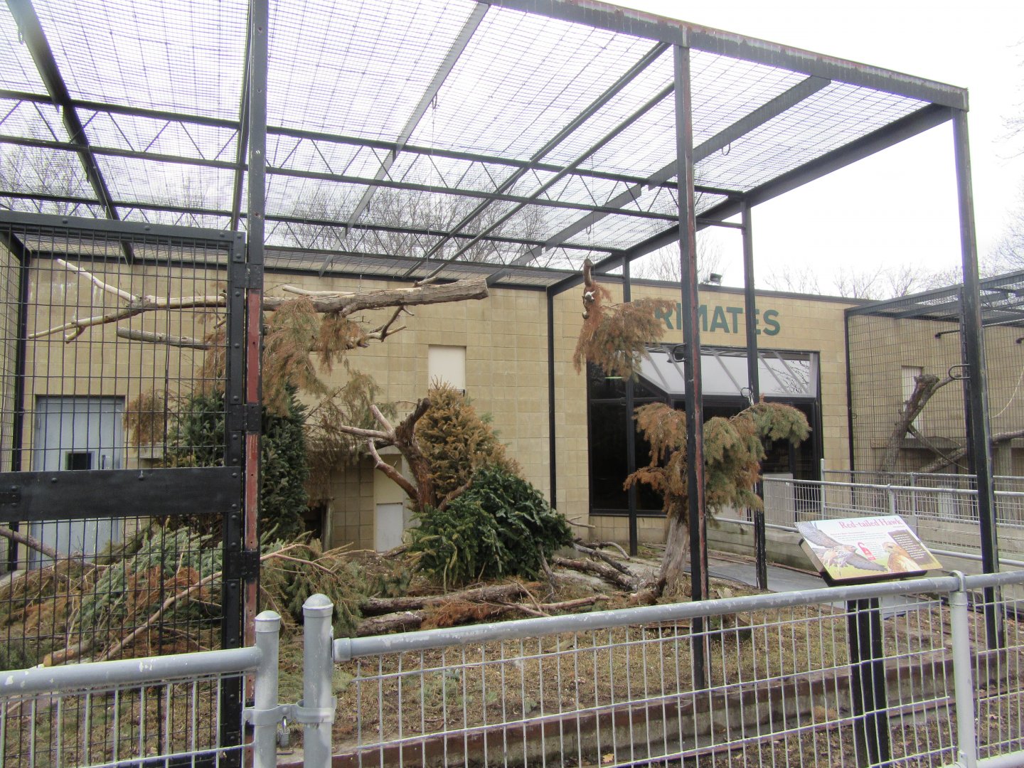 Squirrel Monkey Outdoor Exhibit Renovation