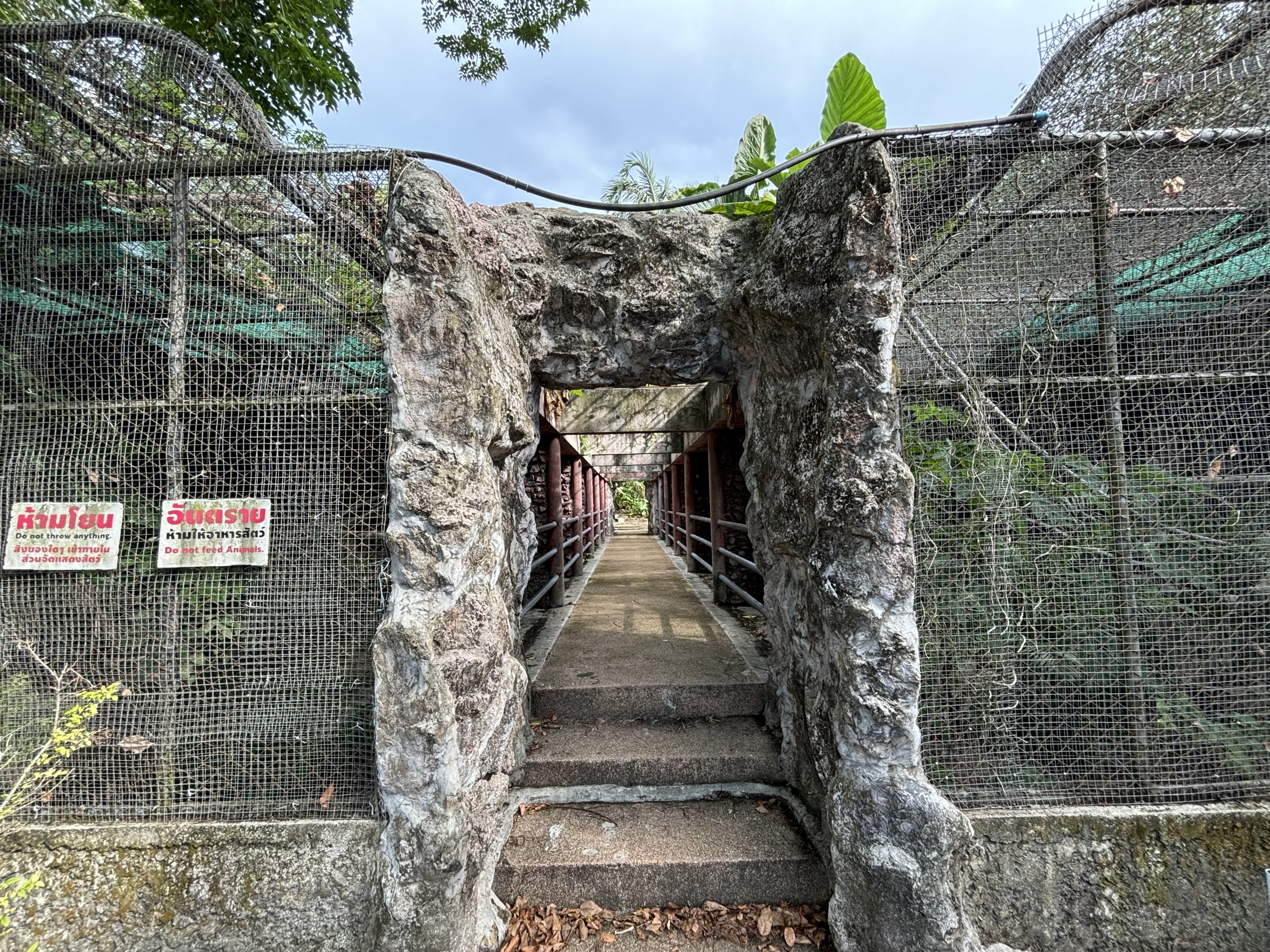 Squirrel Monkey + Raccoon Exhibits