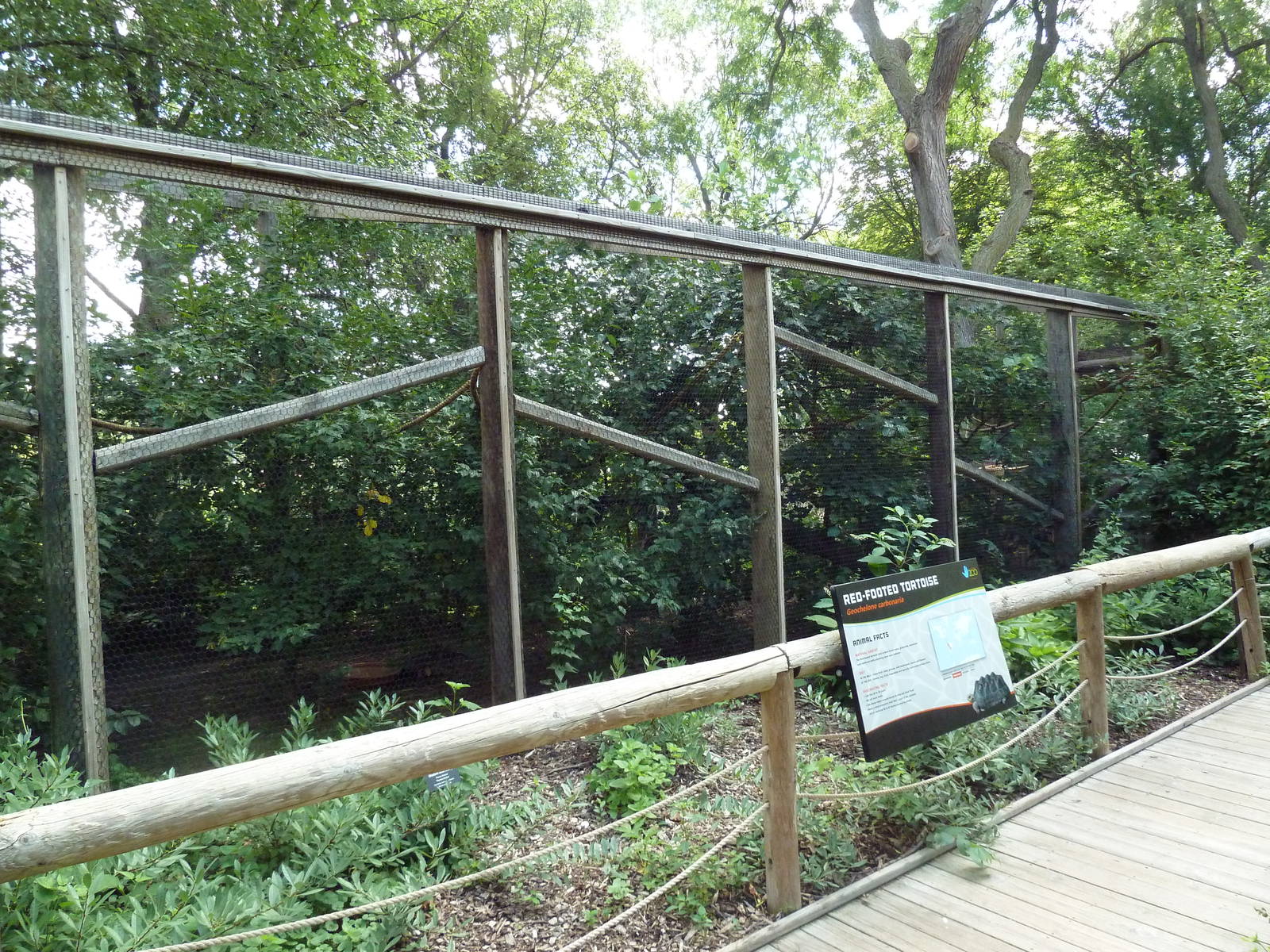 Squirrel Monkey/Red-Foot Tortoise Exhibit