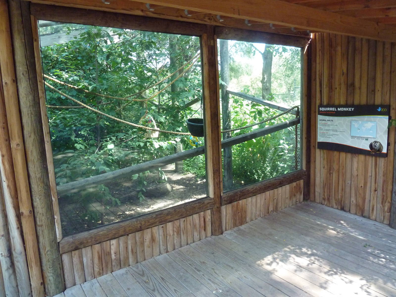 Squirrel Monkey/Red-Foot Tortoise Exhibit