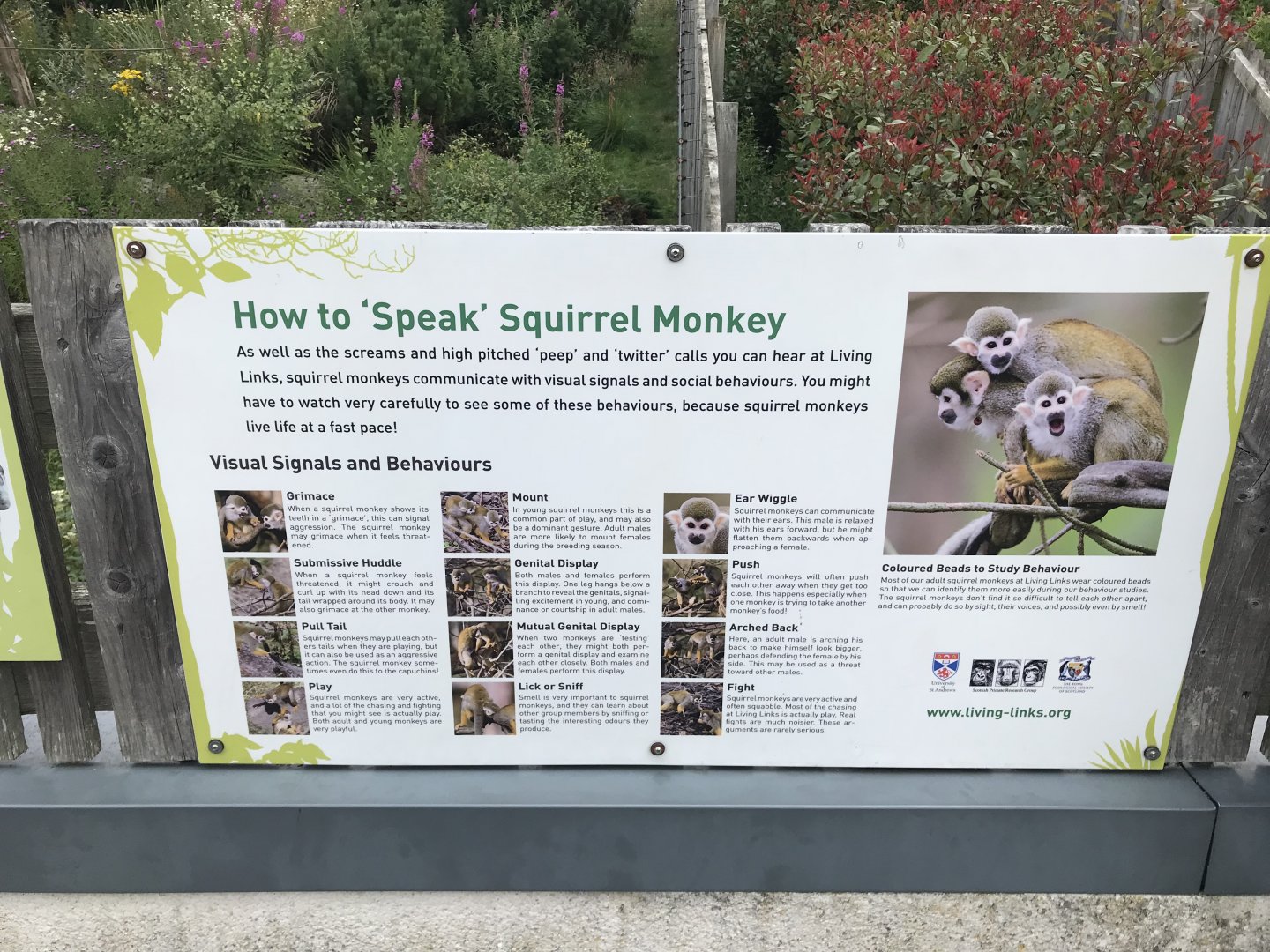 Squirrel monkey signage