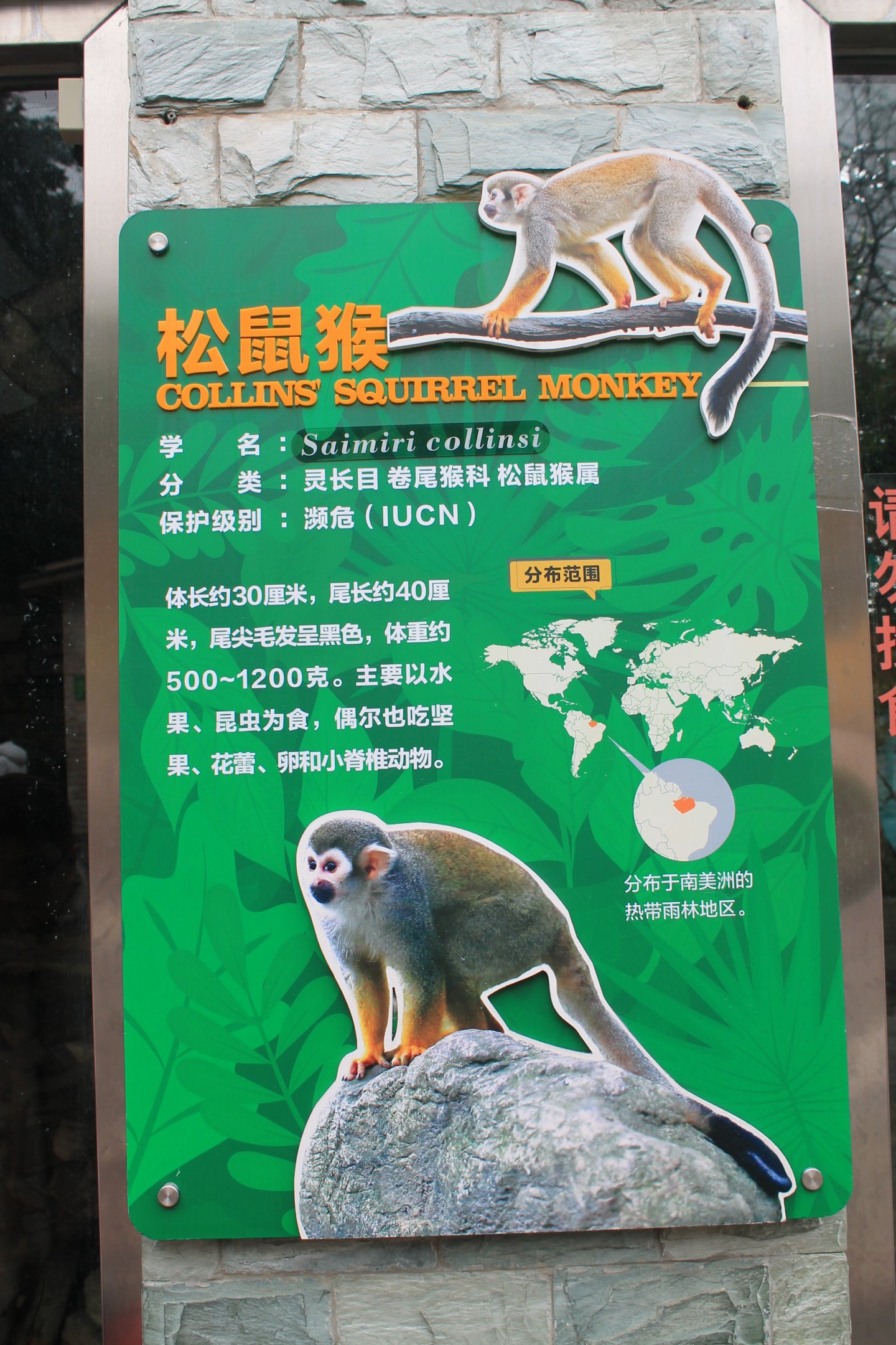 Squirrel Monkey signage