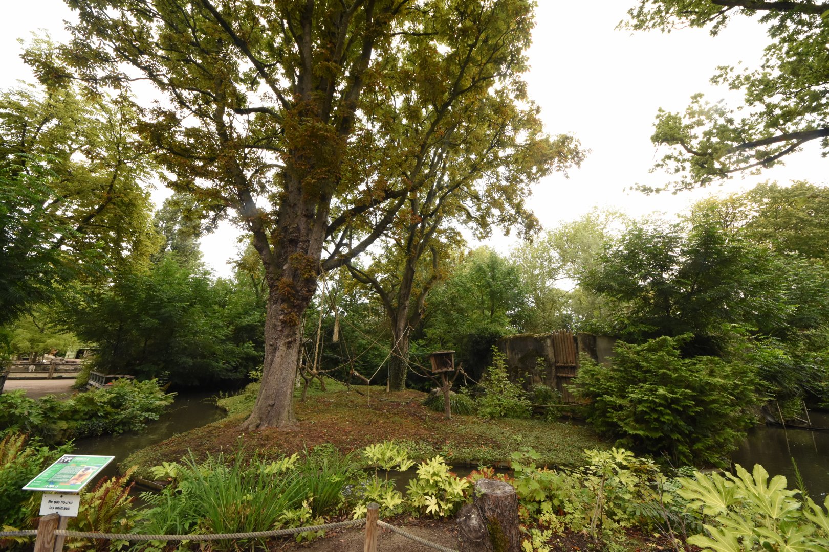 Squirrel Monkey & Spider Monkey Islands