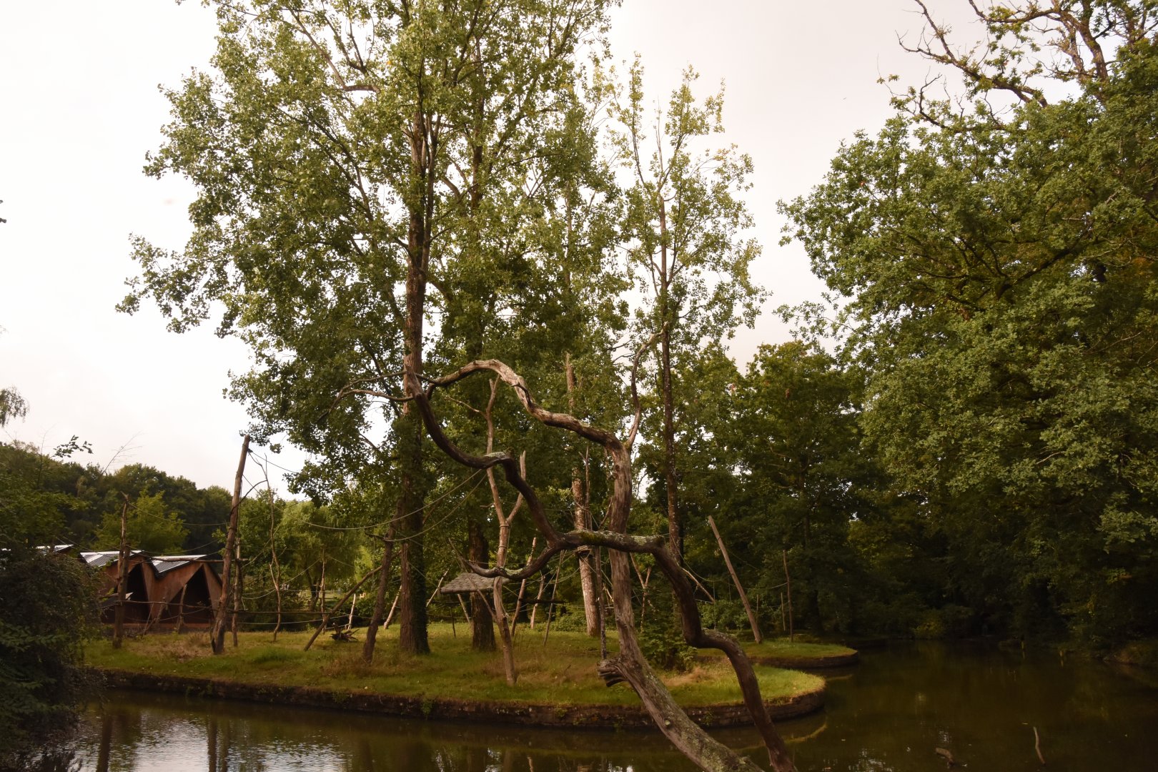 Squirrel Monkey & Spider Monkey islands