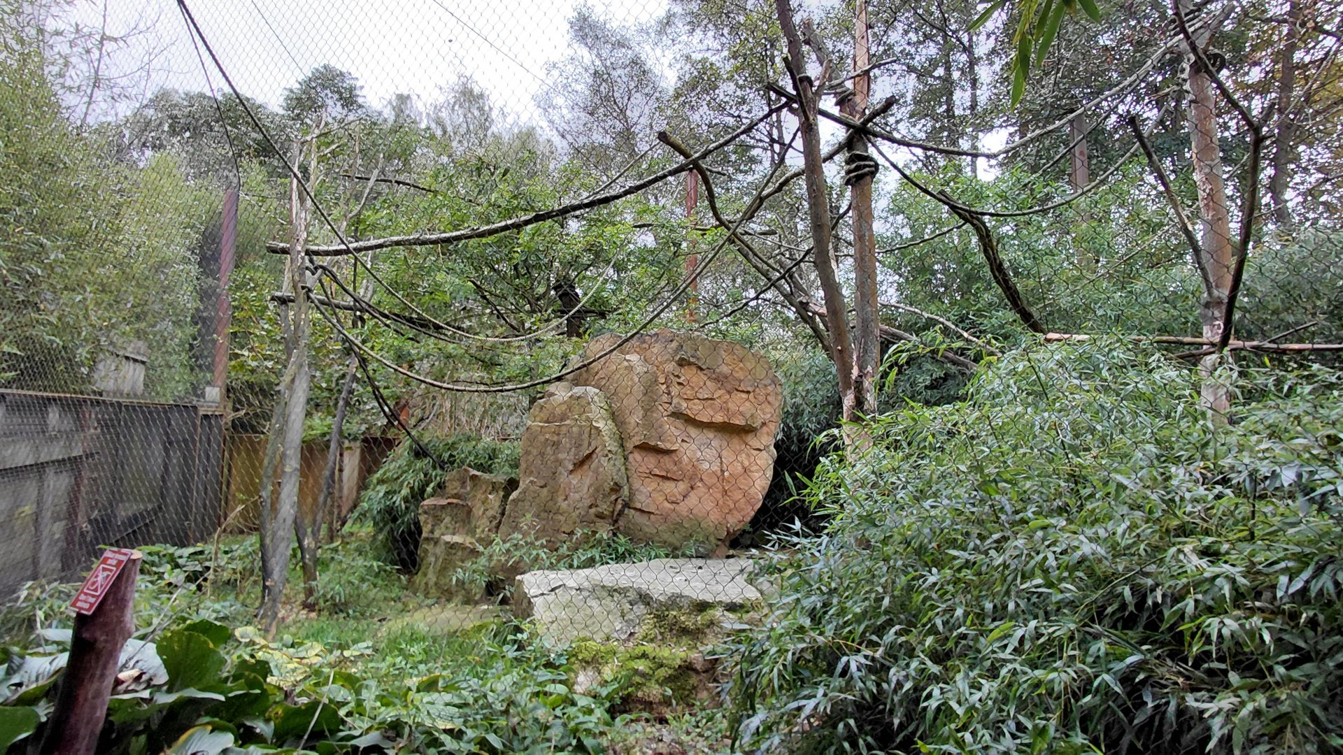 Squirrel monkey + stork outdoor exhibit