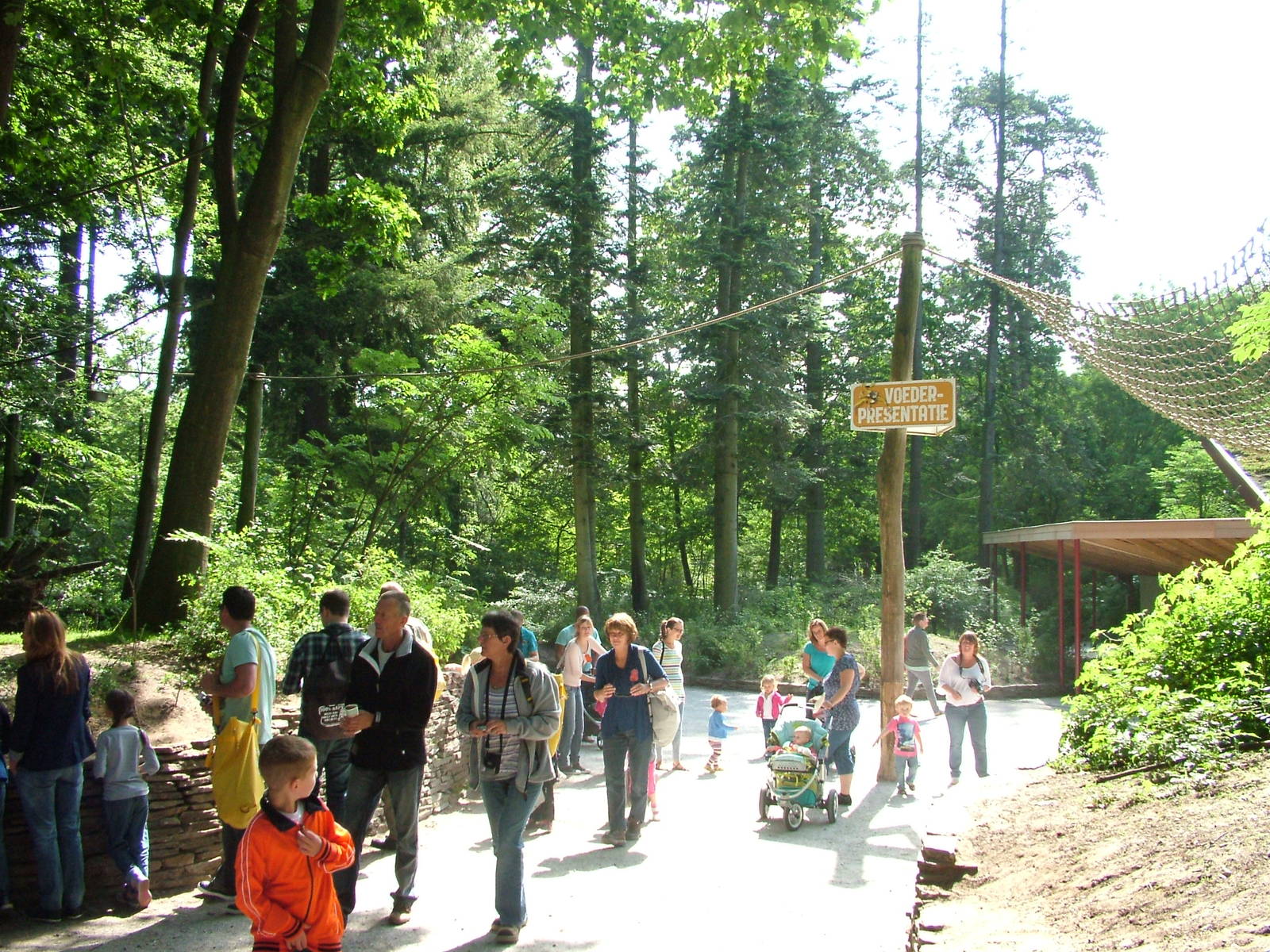 Squirrel Monkey Walk-through at Apenheul, 30/05/12
